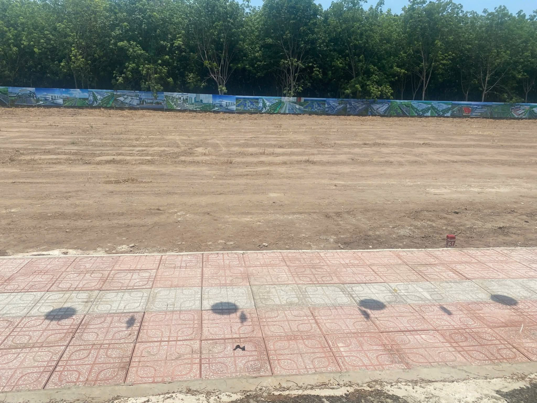 Bán đất Thành Phố Hồ Chí Minh mà giá có 5xxtr, mặt tiền đường nhựa, gần chợ, tiện ích xung quanh đầy đủ. Kinh doanh được ngay.