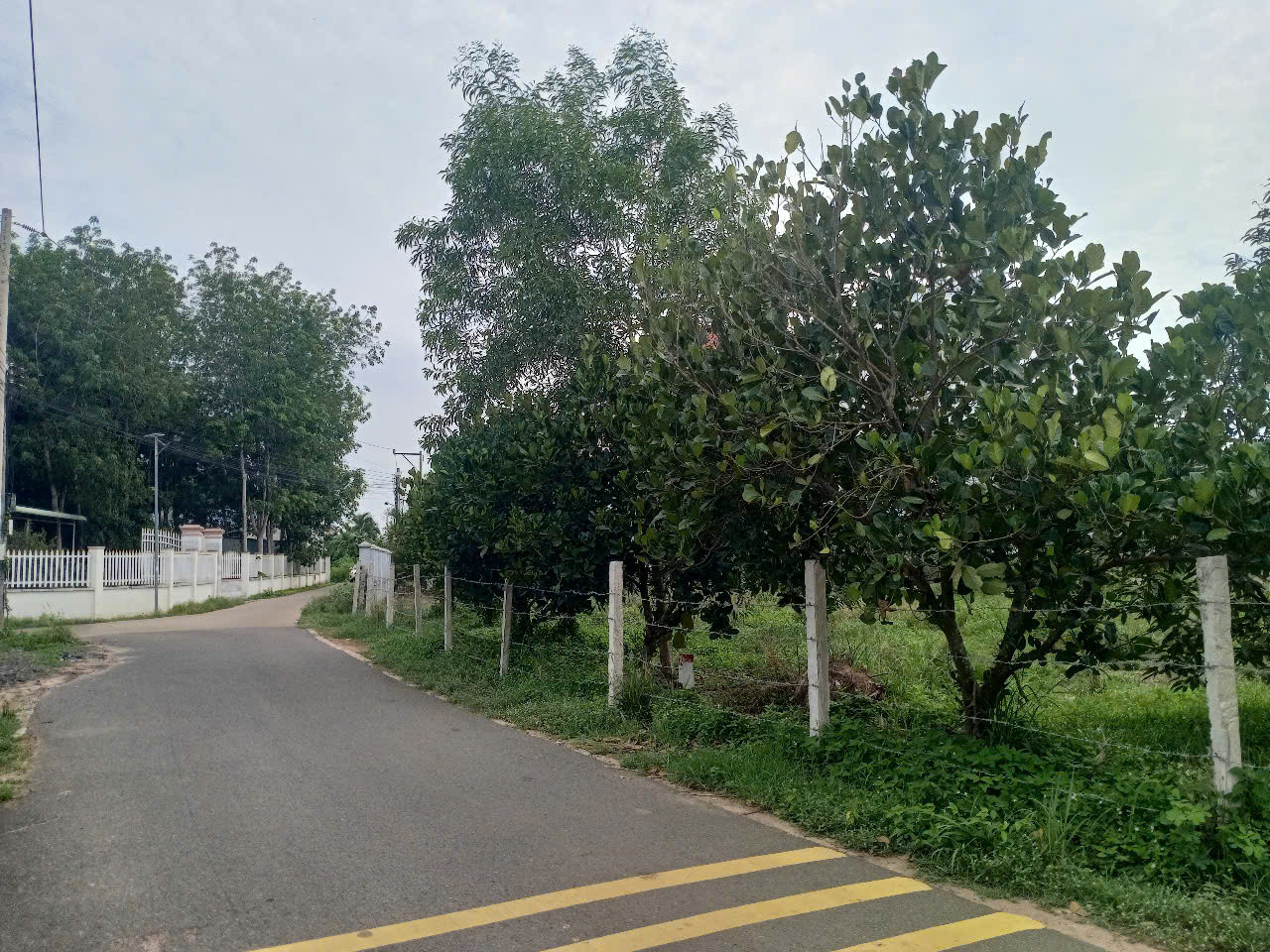Cần bán gấp 4 lô đất ngay trung tâm  Dầu Tiếng Bình Dương