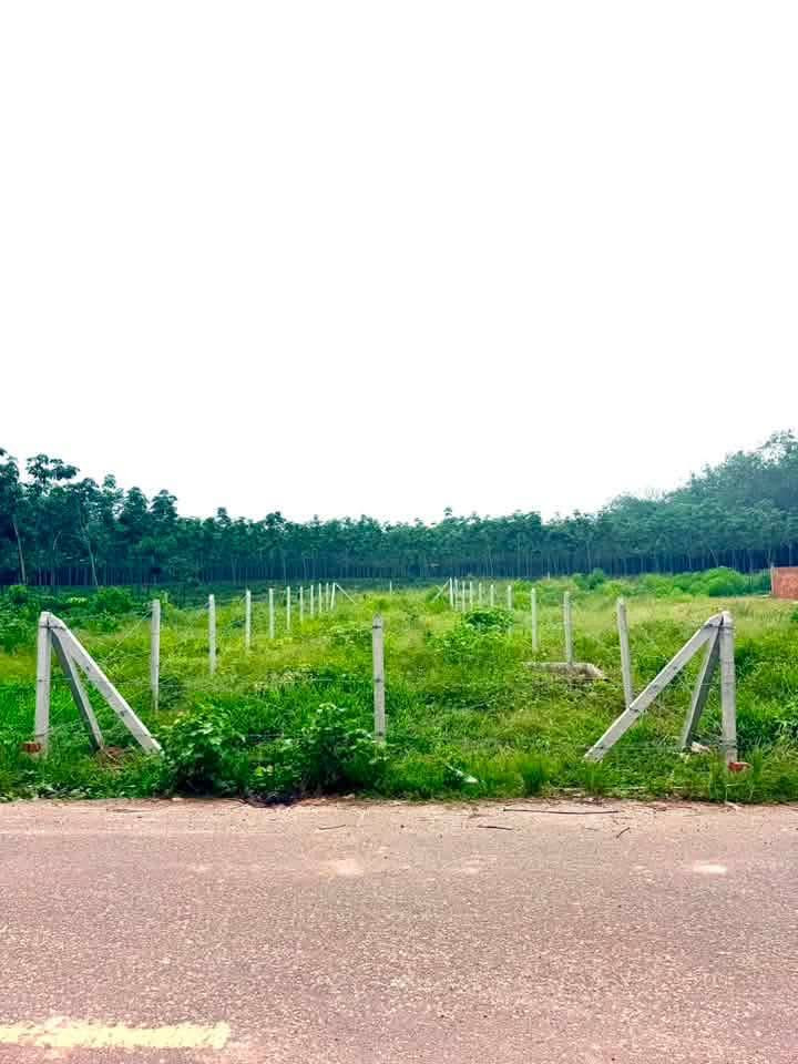Ra gấp sang úc định cư 900m² thổ cư 400m² giá 545 triệu tại Đường ĐT 749B Xã Minh Thạnh Huyện Dầu Tiếng Bình Dương