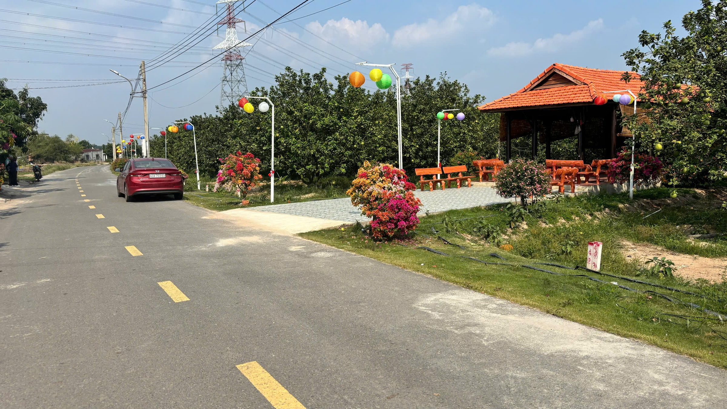 Đất Bàu Bàng, HCM, sẵn sổ đỏ, có thổ cư, xây dựng tự do, phù hợp đầu tư, làm cà phê vườn
