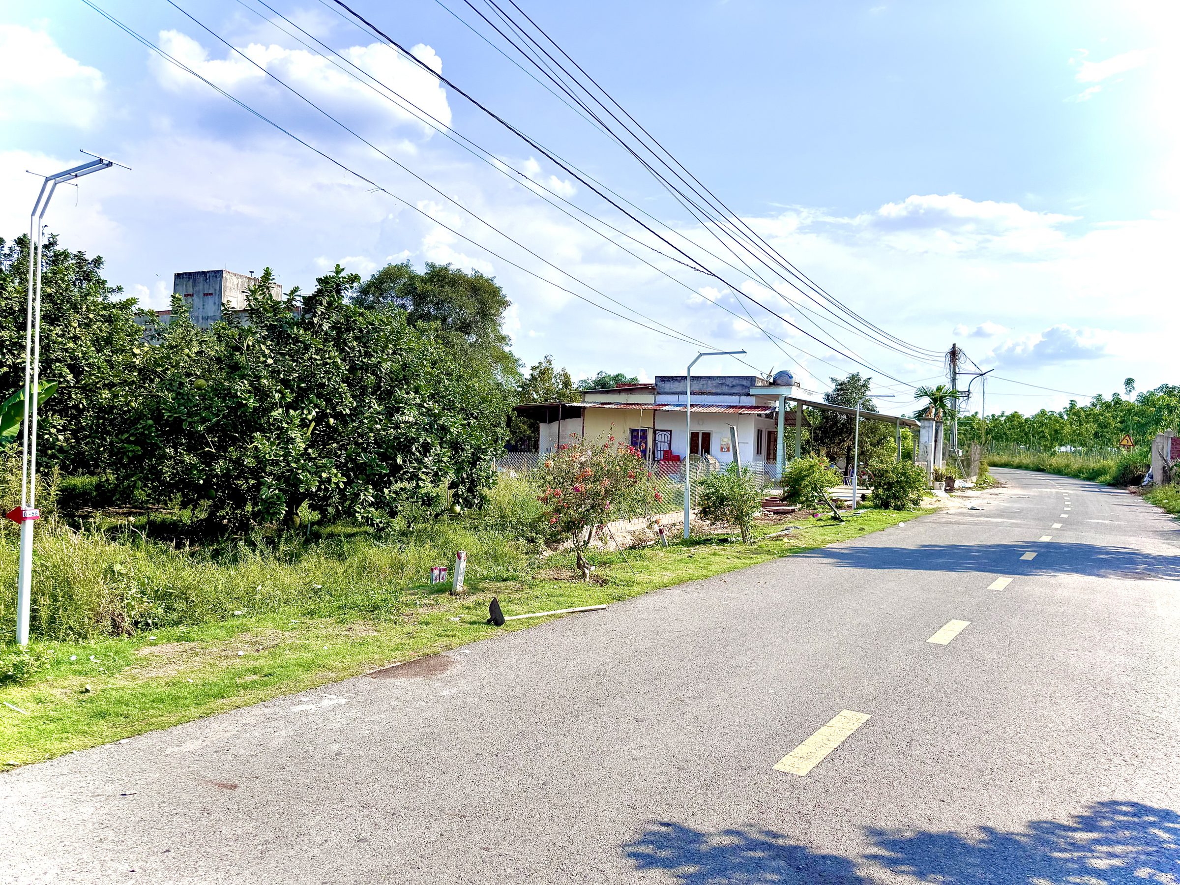 Bán Đất 1200m² thổ cư 100m² giá 900 triệu tại đường ĐT 750 Xã Trừ Văn Thố Huyện Bàu Bàng Bình Dương