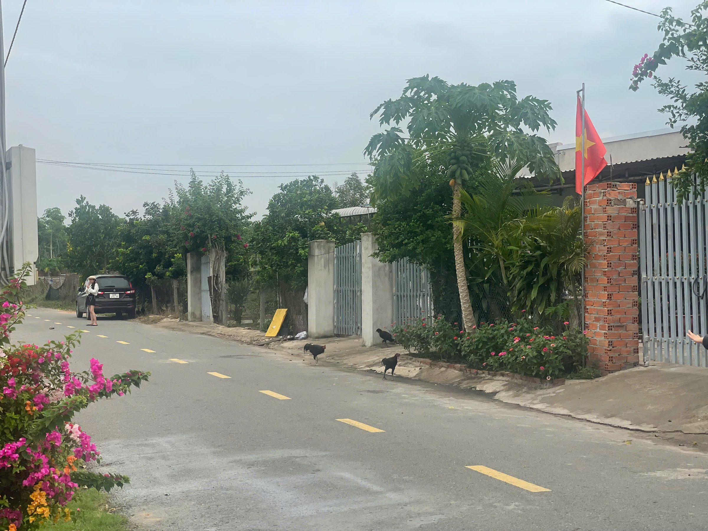 Bán Đất 1500m² thổ cư 100m² giá 960 triệu tại đường ĐT 750 Xã Trừ Văn Thố Huyện Bàu Bàng Bình Dương