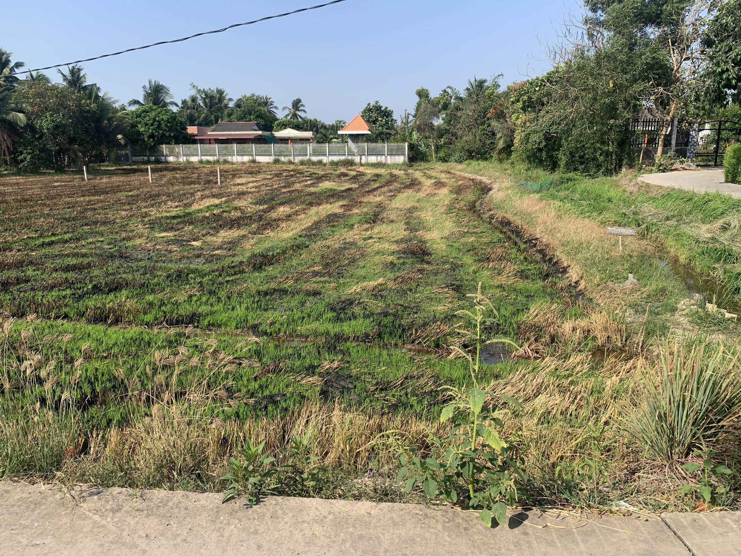 Chủ cần tiền bán gấp