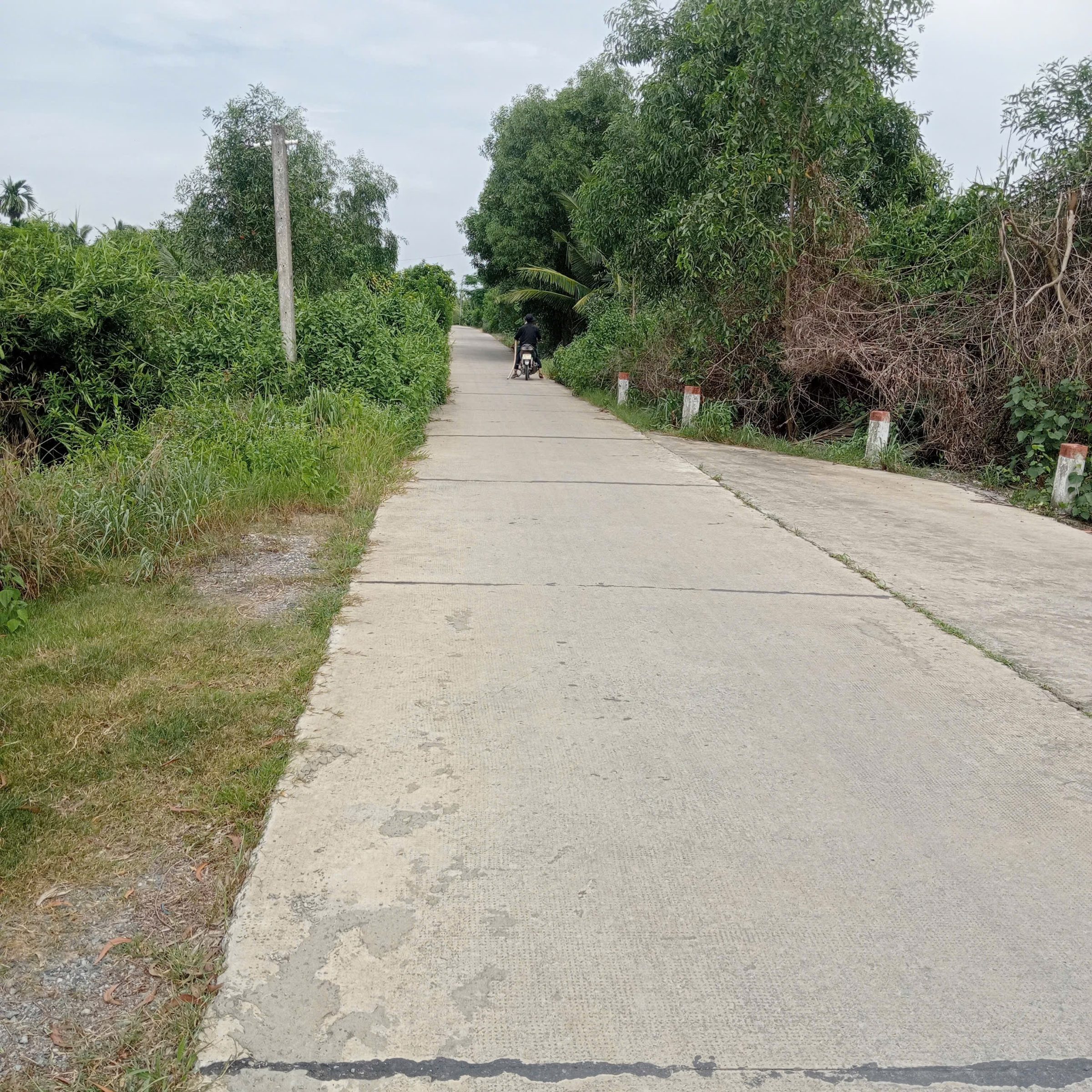 Bán Đất 1000m2 giá 1.5 tỷ tại Đường ĐT 816 Xã Thạnh Hòa Huyện Bến Lức Long An