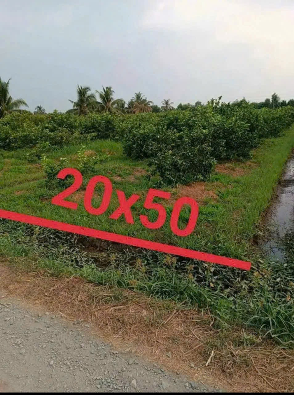 1000m2 đất vườn được lên thổ cư khu dân cư đông