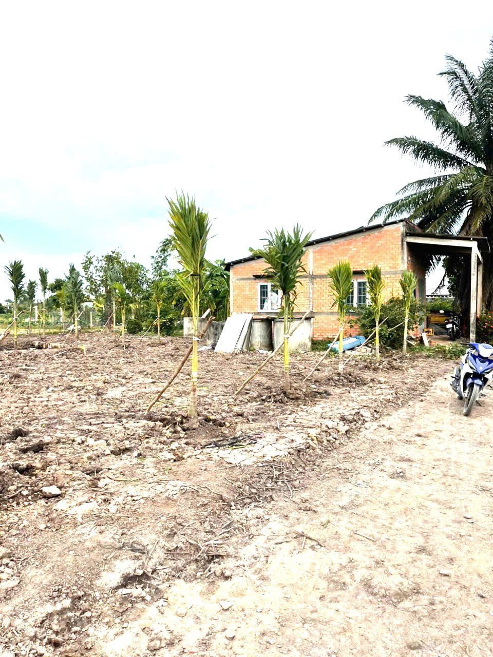 bán đất tặng nhà cấp 4 diện tích: 779m2(31x26). Giá 799 triệu bao ra sổ mới và toàn bộ thuế phí