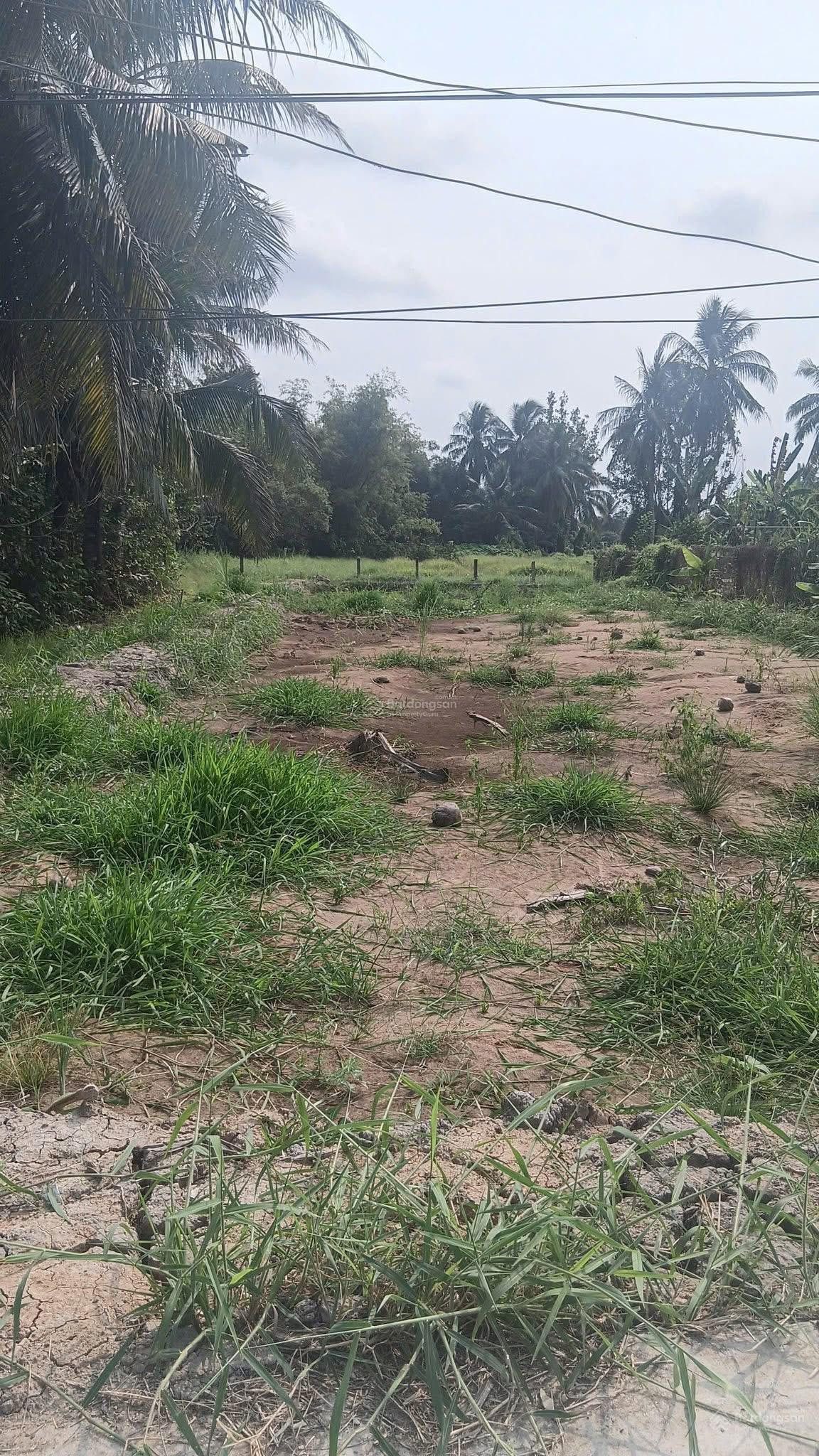 CHÍNH CHỦ Cần Bán 1000m2 Đất ở hẻm ô tô Châu Thị Kim, An Vĩnh Ngãi, TP Tân An