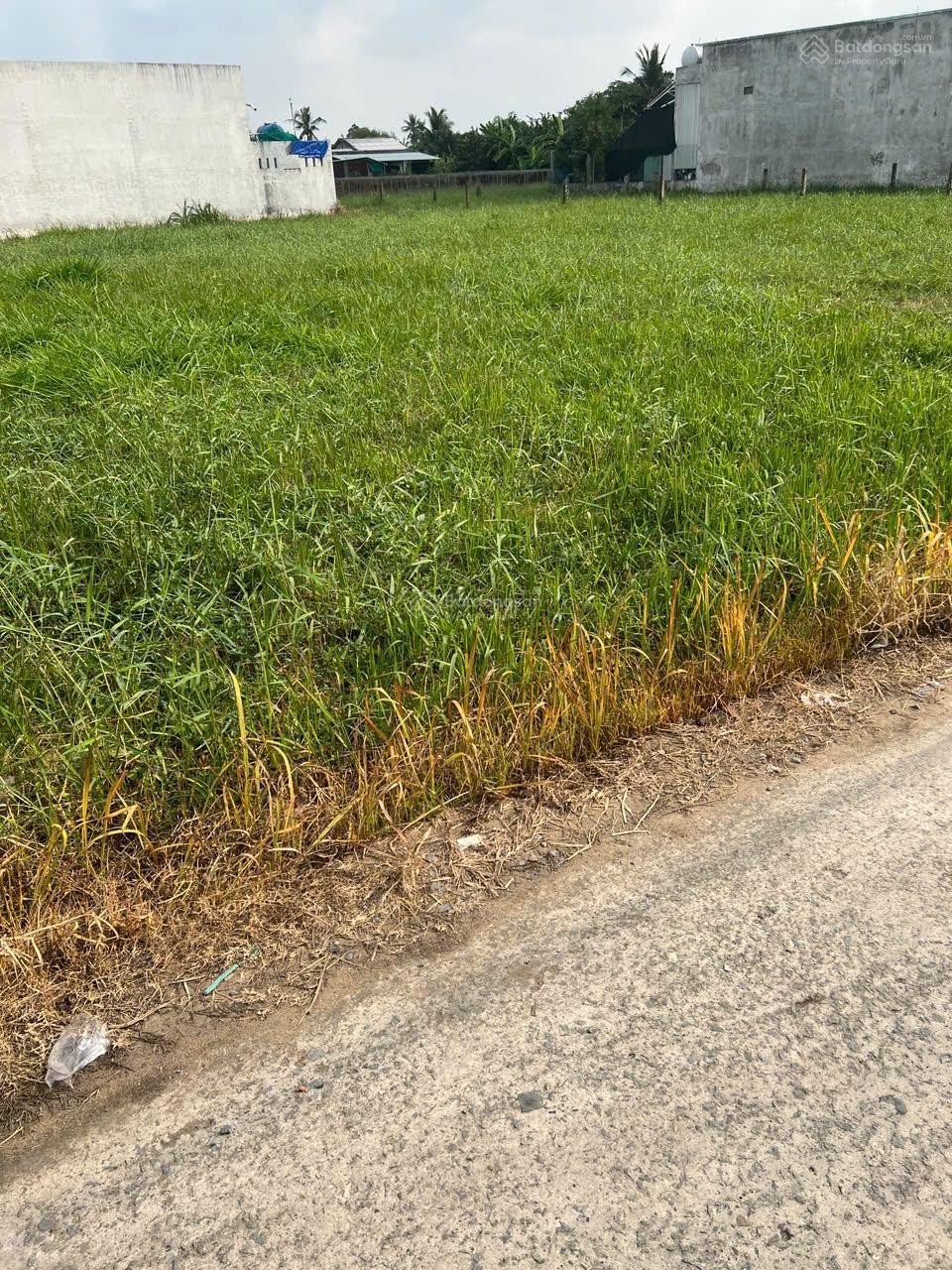 Bán đất đẹp giá tốt xã An Vĩnh Ngãi, TP. Tân An tỉnh Long An