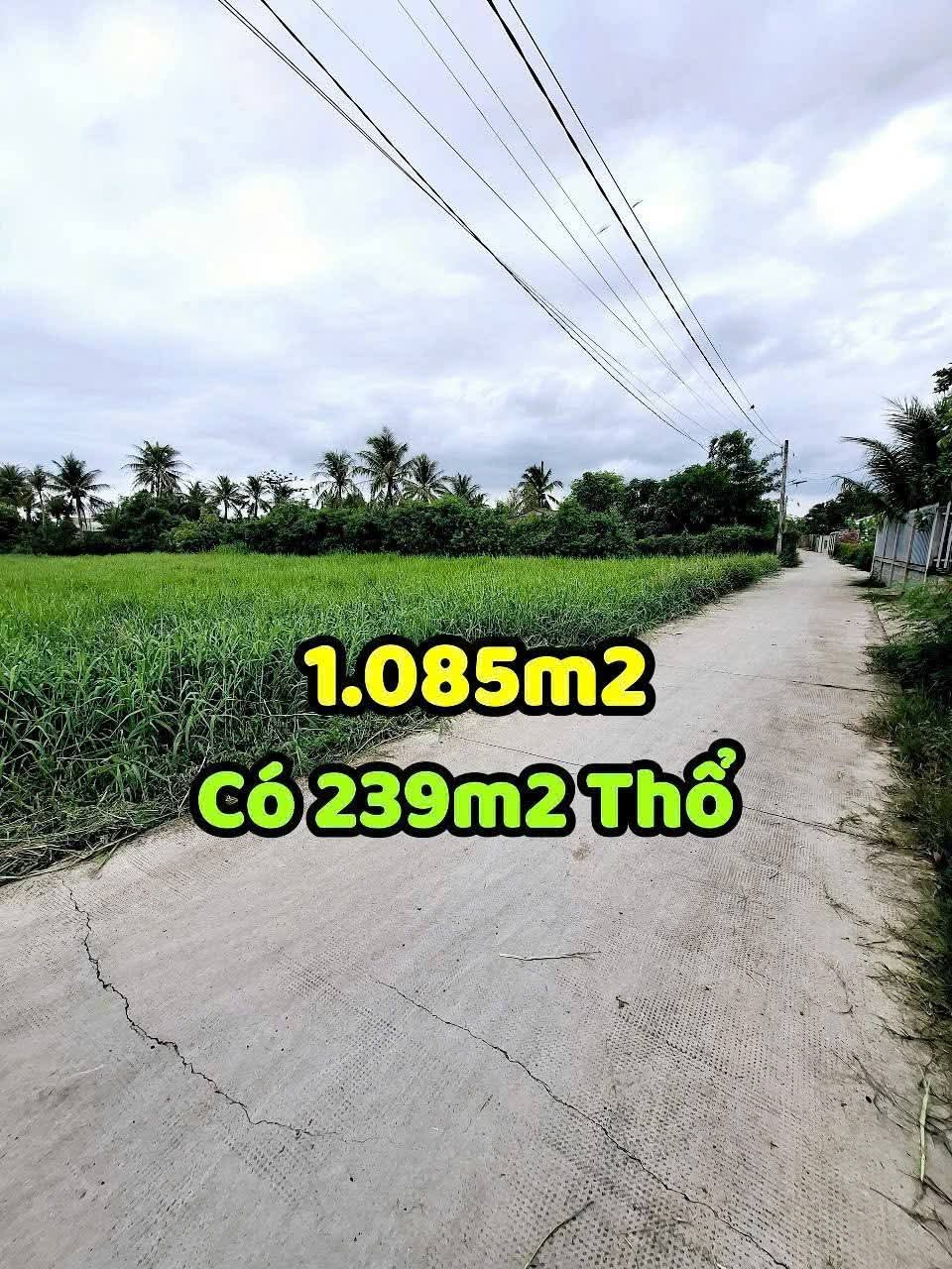 2️⃣ 💥 Đất RỘNG hiếm có tại Sơn Trạch | 1.100m² – 239m² thổ cư | Gần Ủy Ban, Trường Học