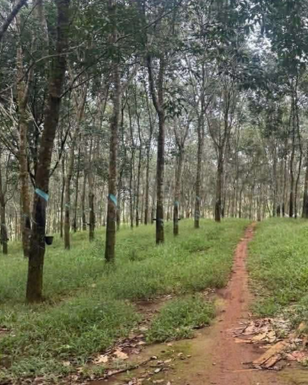 Bán đất tại ĐT755, 21 tỷ, 24854 m2, phù hợp kinh doanh