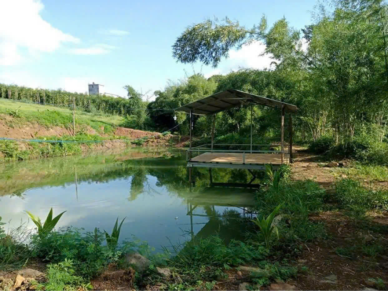 7 xào đất vườn có 500m2 thổ cư giáp suối gần chợ Thống Nhất Bù Đăng