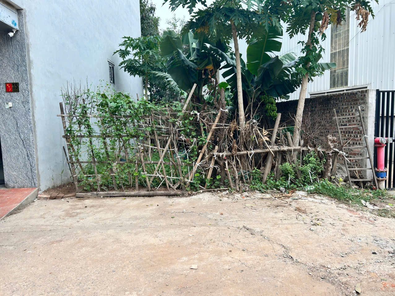 Bán đất Đức Giang, Việt Hưng 52m² 9Tỷ55 NỞ TIỀN ĐÓN TÀI LỘC Vỉa hè, Ô tô tránh, Kinh Doanh