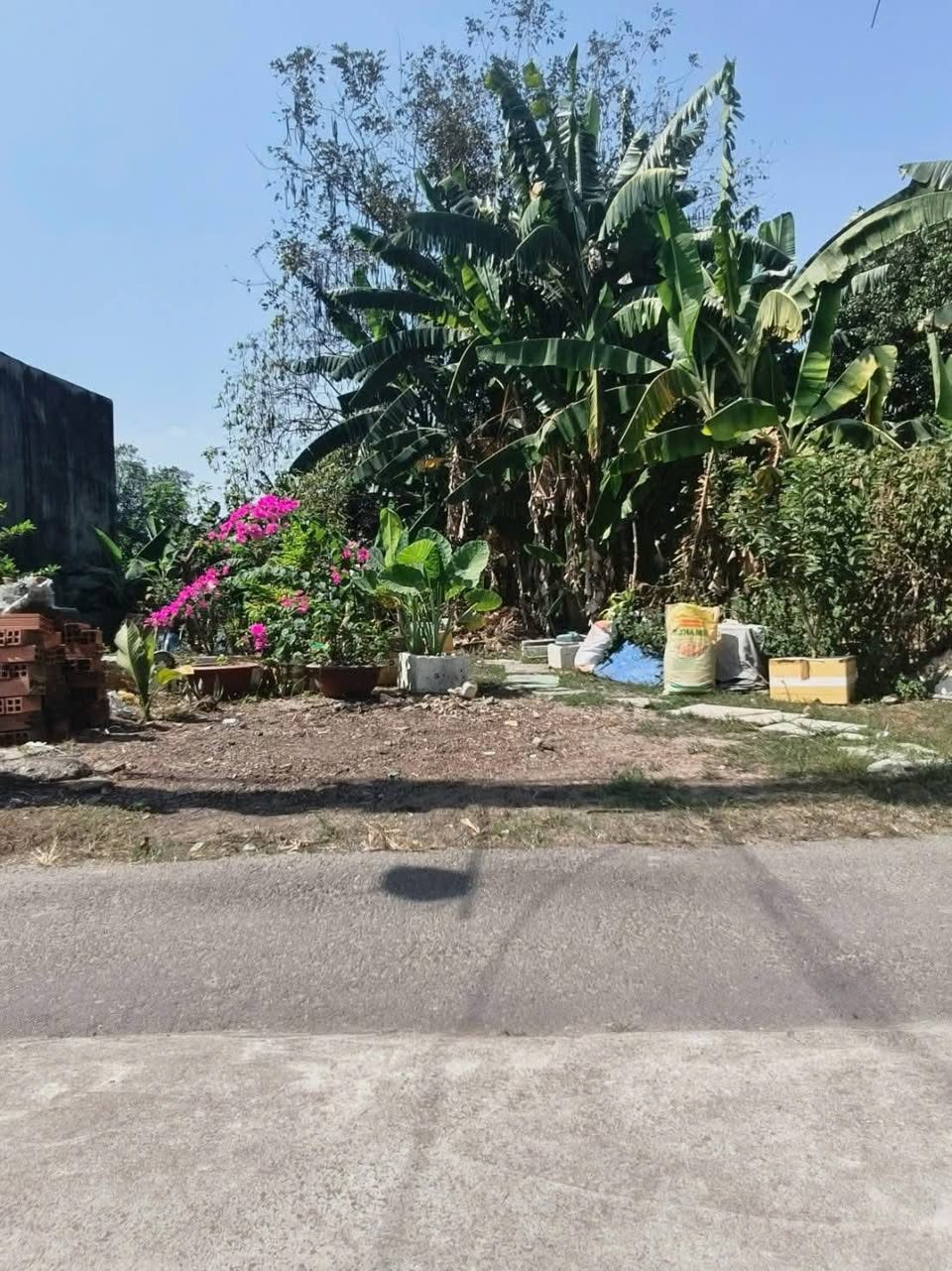 ☘️ ĐẤT S HỒNG RIÊNG KHU DÂN CƯ KÍN SÁT CHỢ HÓC MÔN