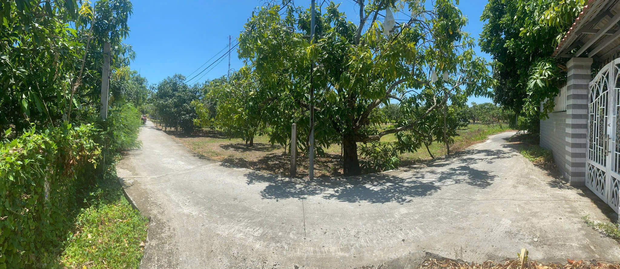 ĐẤT THỔ CƯ 1.300m2 tại Huyện Cần Giờ, đã có sổ, đối diện Vin Cần Giờ và gần các KDL Sinh thái