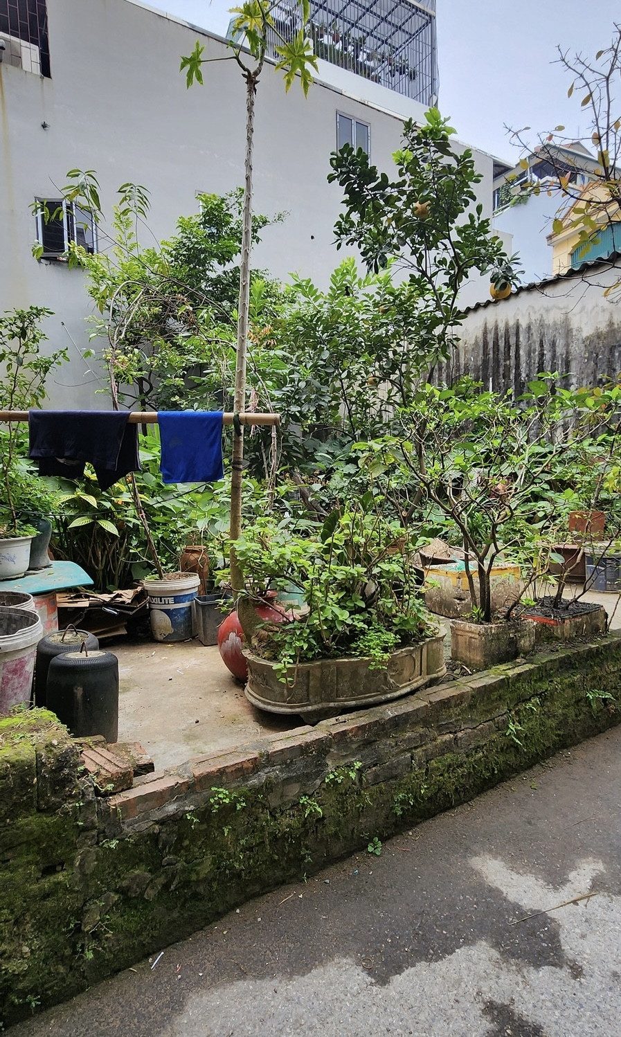 💥 CÒN XÓT MẢNH ĐẤT 35M2 - NGÕ THÔNG NGỌC THUỴ NỐI NGUYỄN GIA BỒNG - LÝ SƠN > NGUYỄN VĂN CỪ - 3.8TỶ
