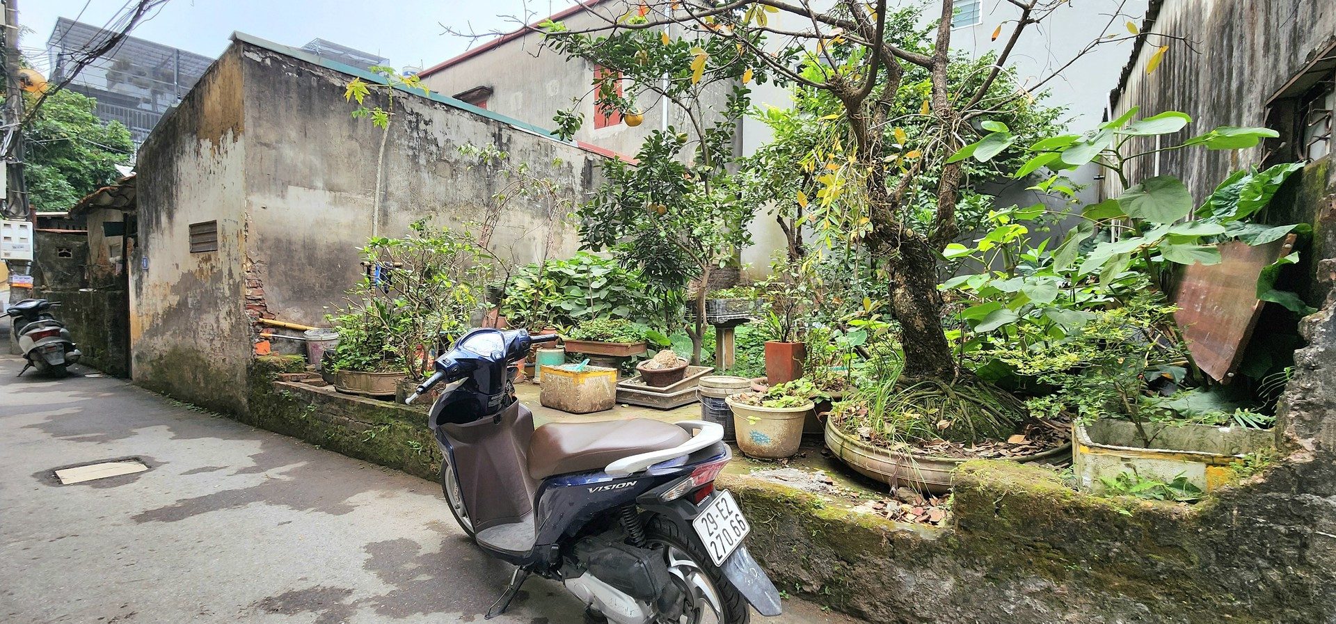 💥 CÒN XÓT MẢNH ĐẤT 35M2 - NGÕ THÔNG NGỌC THUỴ NỐI NGUYỄN GIA BỒNG - LÝ SƠN > NGUYỄN VĂN CỪ - 3.8TỶ