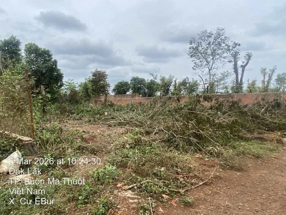 Nguyễn Đình Chiểu Sắp Làm Em Có Lô 8m Full Thổ Cư Giá Tốt Đầu Tư