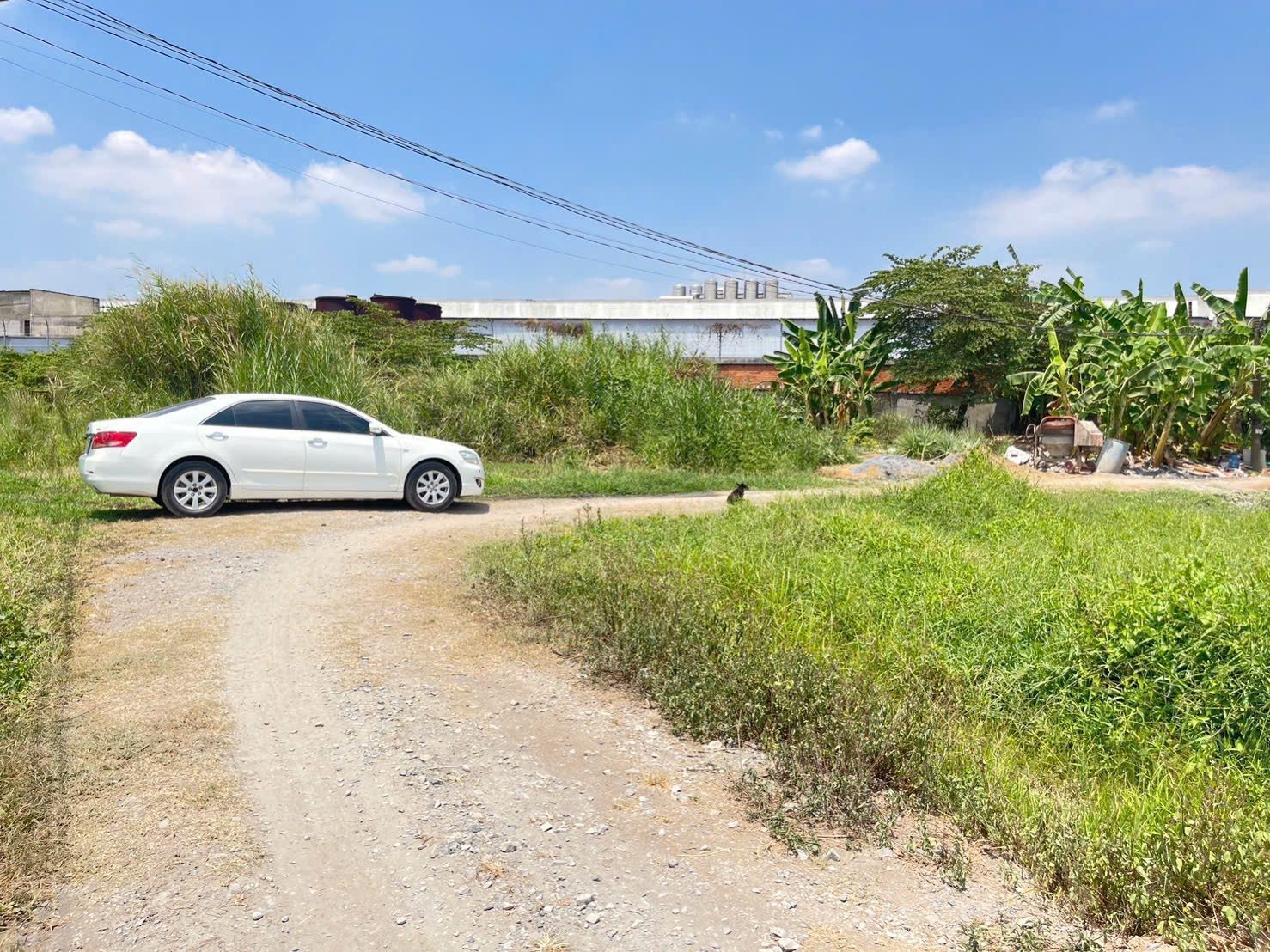 Lô góc 376m2 (19x20) full thổ, 1/ Gò Hưu, Mỹ Hạnh Nam, Đức Hoà, Long An, giá 4.5 tỷ