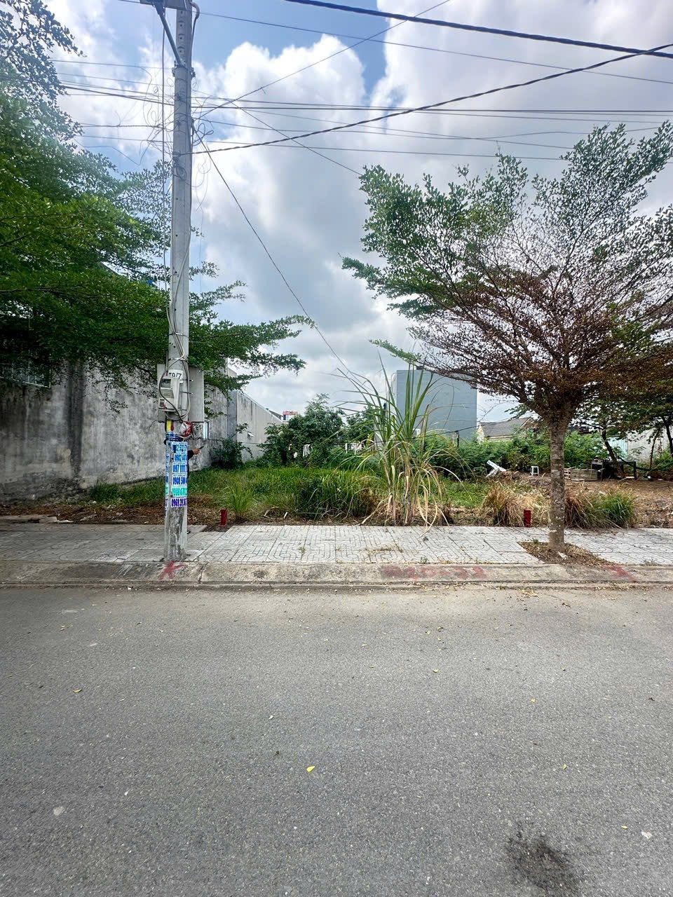 Bán đất KDC trần anh mỹ hạnh hoàng gia đường gò hưu mỹ hạnh nam