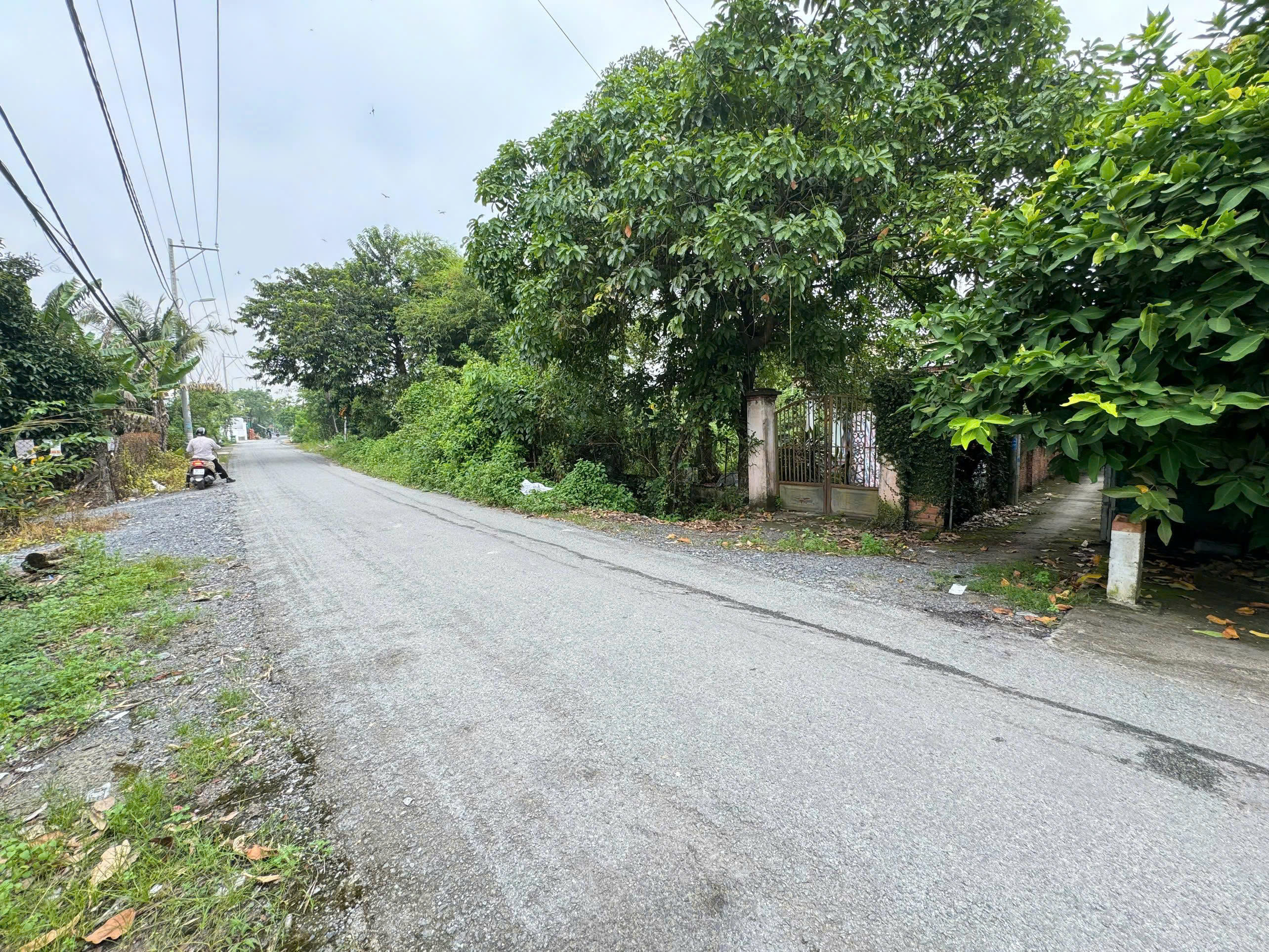 Bán đất 1430m² có sẵn 960m² thổ cư ngang 24m giá 18 tỷ tại Đường Hà Duy Phiên Xã Bình Mỹ Ms418