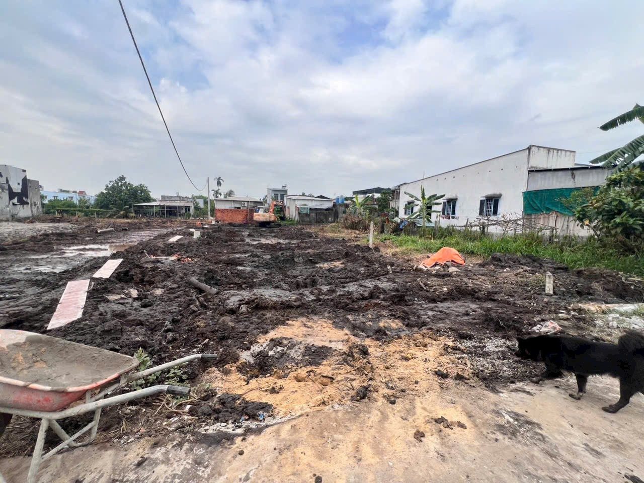 Bán đất thổ cư đường Bê tông 1/ngắn Hà Duy Phiên xã Bình Mỹ Củ Chi TPHCM, DT: 7,8x32m.