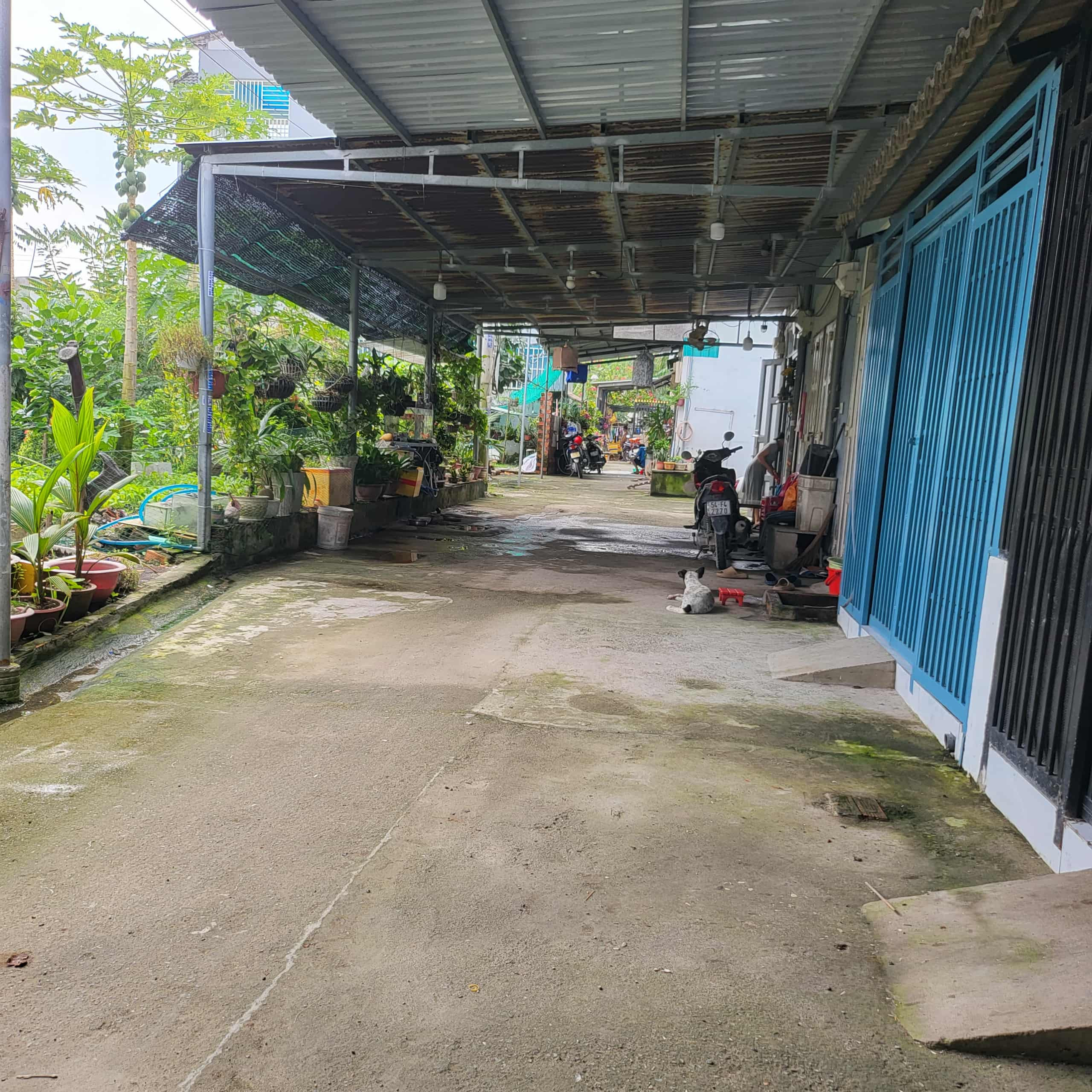 Nhà 5x24 (120m2) full thổ, hẻm xe hơi, Q.12, chỉ 4,2 tỷ