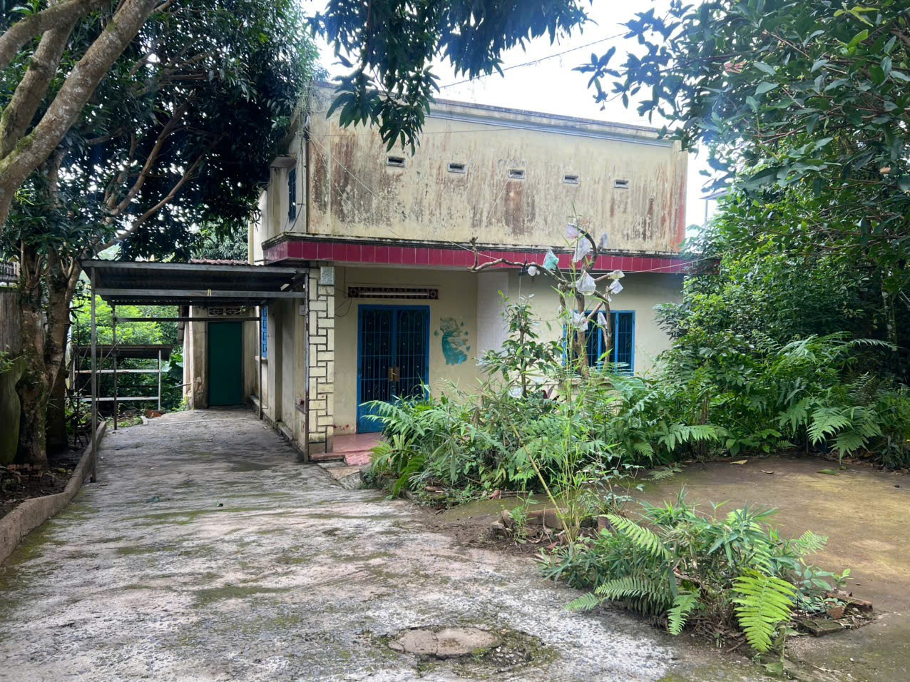 🏡 [CHÍNH CHỦ] BÁN KHUÔN VIÊN NHÀ VƯỜN TRUNG TÂM P.1 BẢO LỘC - NỞ HẬU - SẴN 131M² THỔ CƯ

Gia đình cần nhượng lại khuôn viên nhà vườn ngay trung tâm ủng Phường 1, TP. Bảo Lộc.