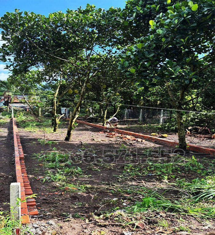 TT P BẢO VINH, GẦN TRƯỜNG, CHỢ VÀ KCN LONG KHÁNH, 5m×24,8m, TCSR, CHỈ  890Tr