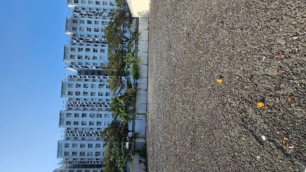 Bán đất 1172.9m² có sẵn 1172m² thổ cư ngang 35m giá 75 tỷ tại Đường Hồ Ngọc Lãm Phường An Lạc