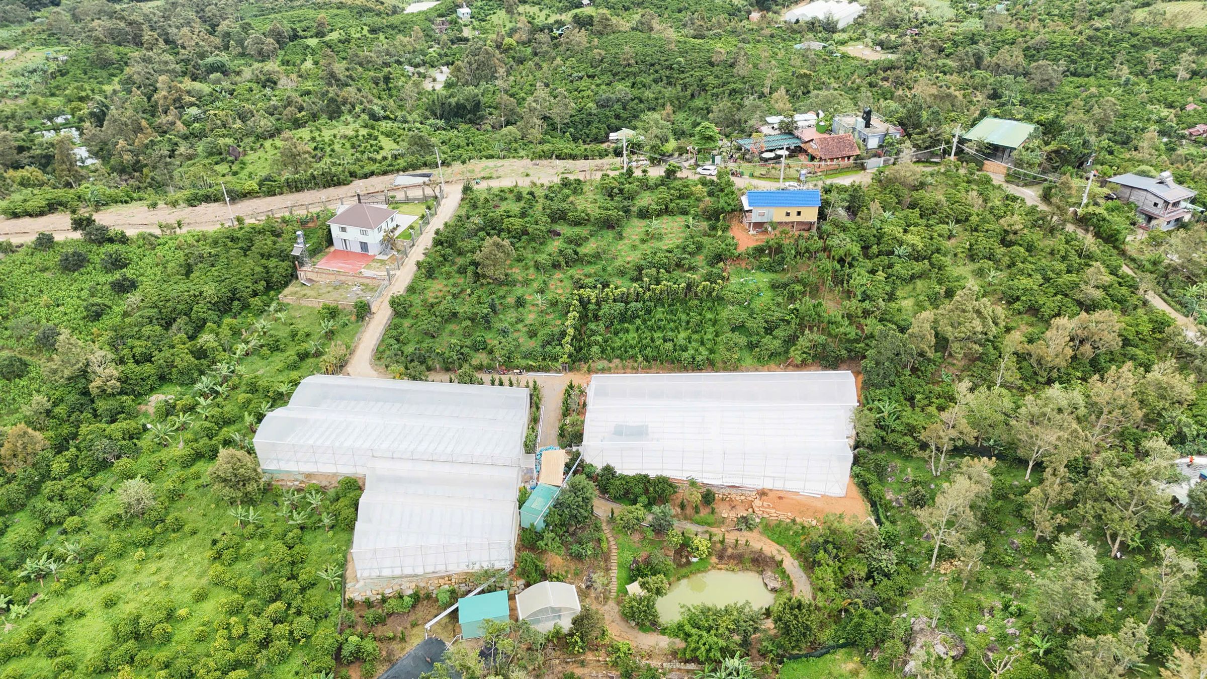 🌄 GẦN 1HA9 VIEW NÚI ĐẠI BÌNH – 160M MẶT TIỀN – VIEW TP BẢO LỘC 🌄