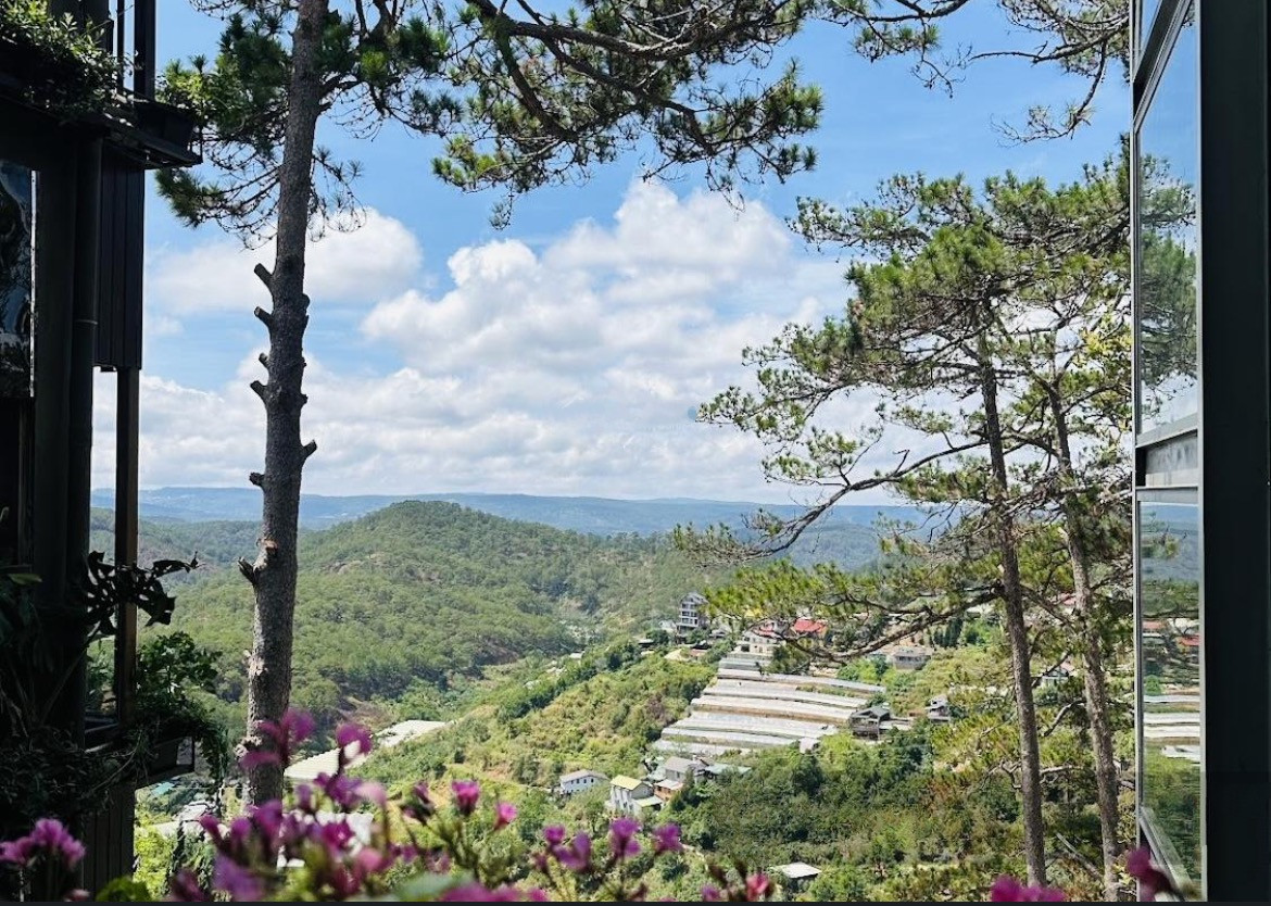 Bán Đất Đà Lạt Tặng View săn mây Triệu Đô 748m2, 48 tỷ (Giá cũ 53 tỷ), Đường Hoàng Hoa Thám