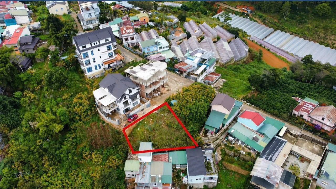 Cần bán nền biệt thự 300m view rừng thông vĩnh viễn không che. xây được 6 tầng đẹp tuyệt