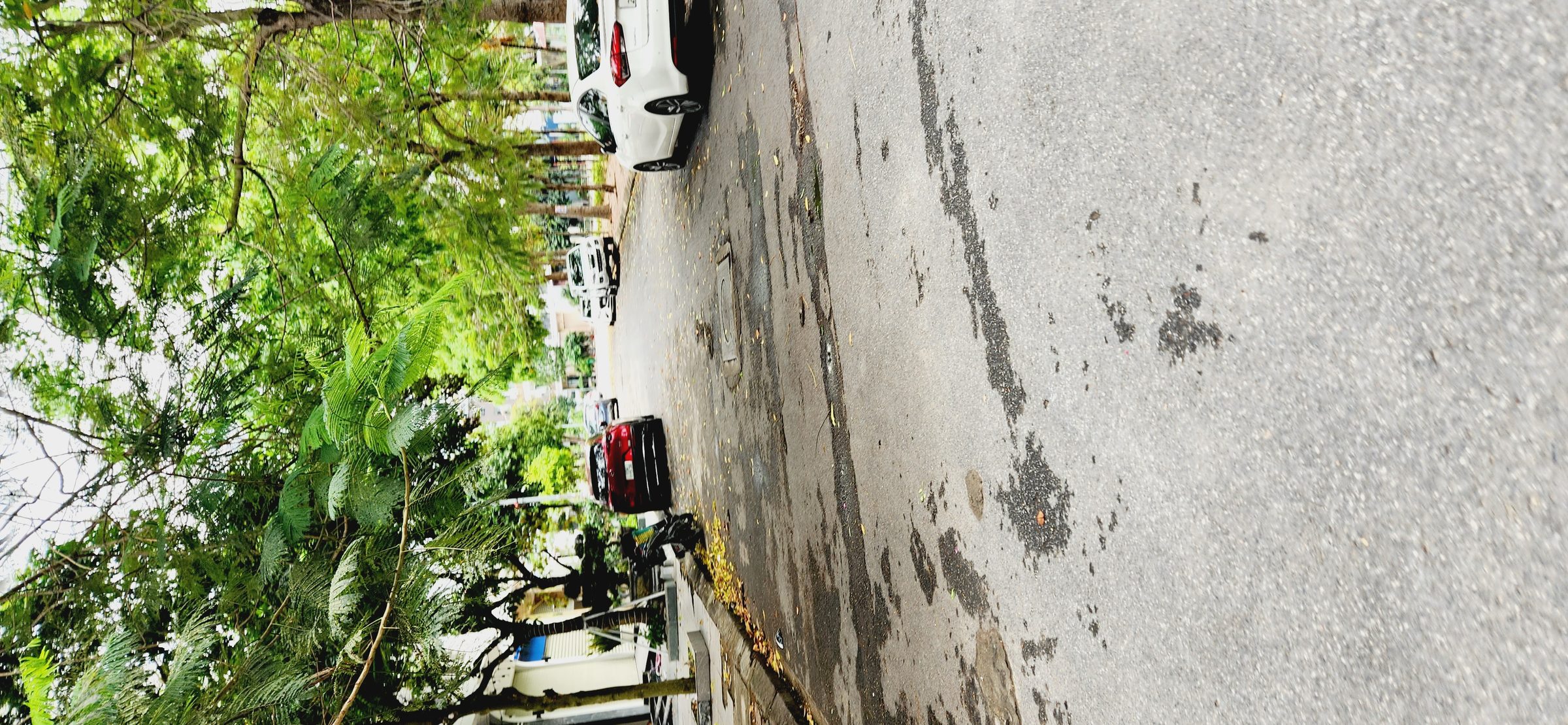 ❌❌❌ SIÊU PHẨM VIEW VƯỜN HOA – KHU PHÂN LÔ CAO CẤP HỒNG BÀNG ❌❌❌