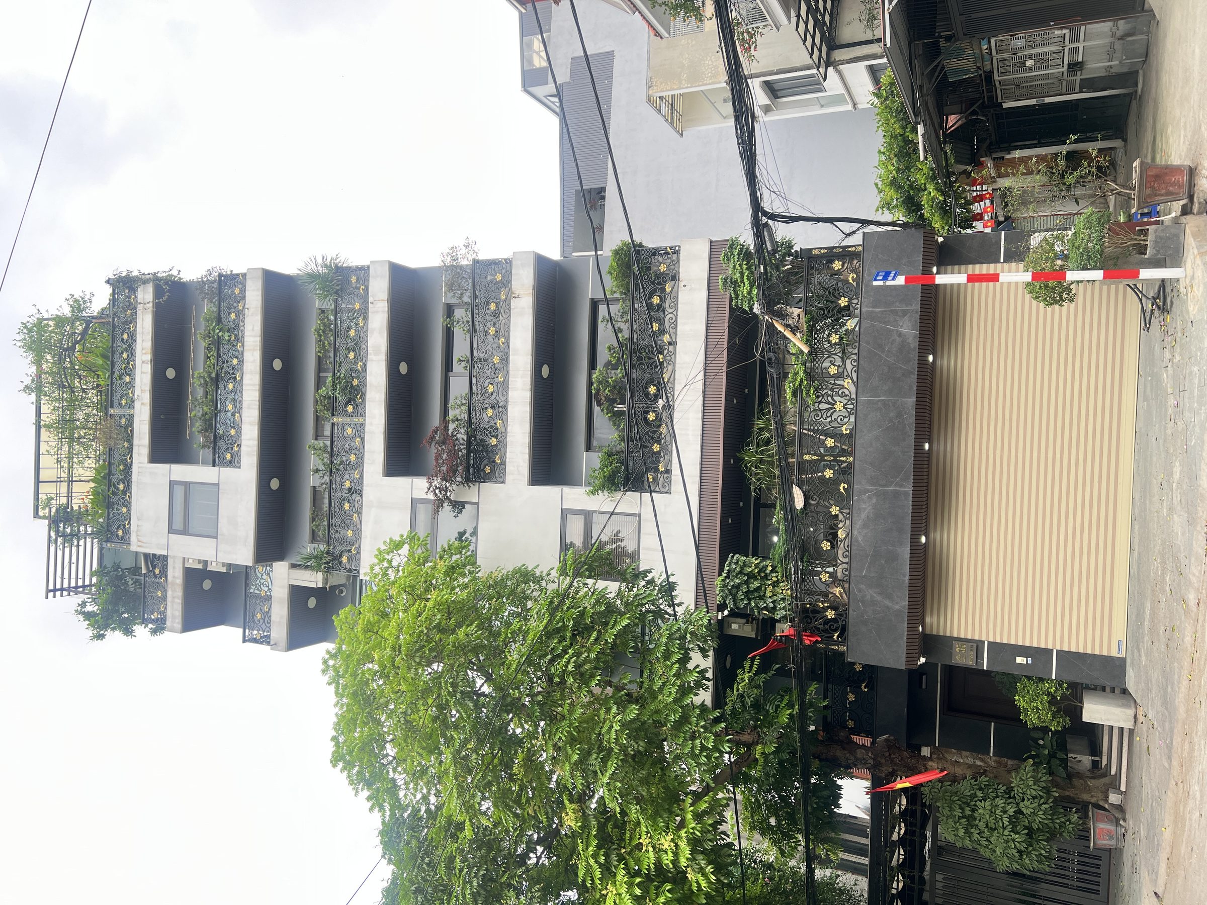 LONG BIÊN CỰC HIẾM