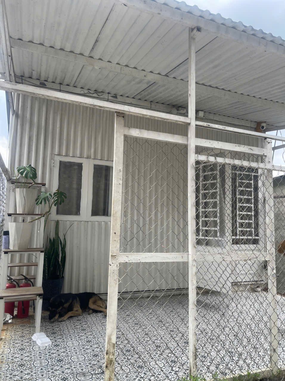 Cho thuê Homestay Dã Chiến Hùng Vương Phường 11 Đà Lạt 8 triệu/tháng