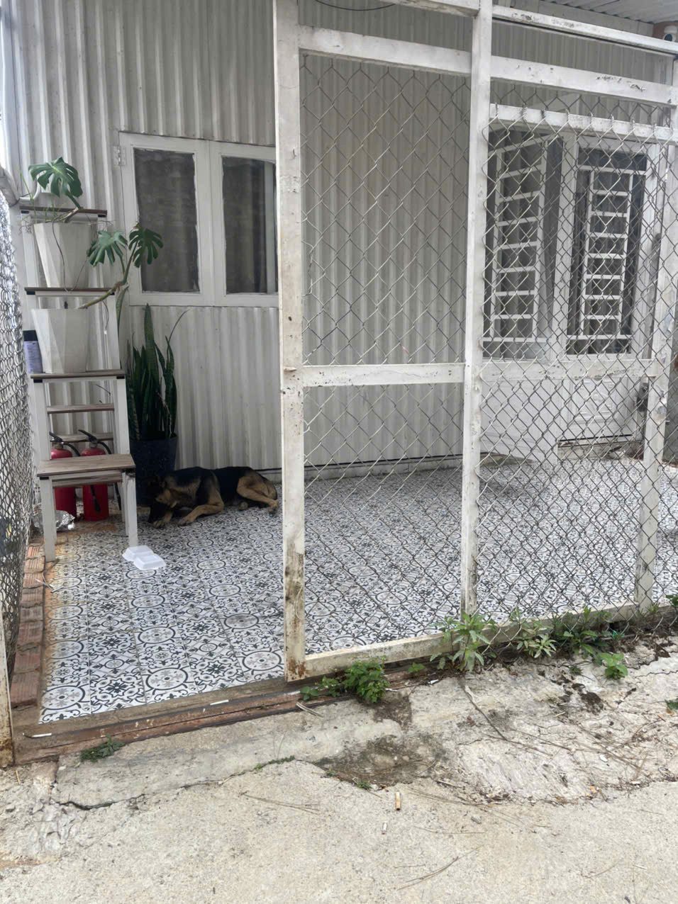 Cho thuê homestay 4 phòng Dã Chiến Hùng Vương Đà Lạt 9 triệu