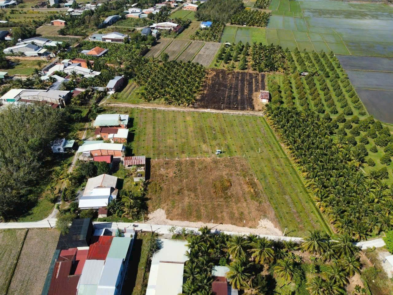 Đất Thị Trấn Gò Dầu, Sổ Hồng Riêng Chỉ 565 Triệu