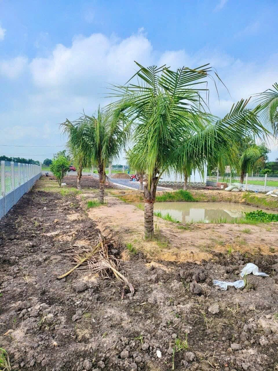 ☘️1000m2 đất biệt thự vườn - sổ hồng riêng
- Giá: 1 tỷ 150, Có sẵn 100m2 thổ cư