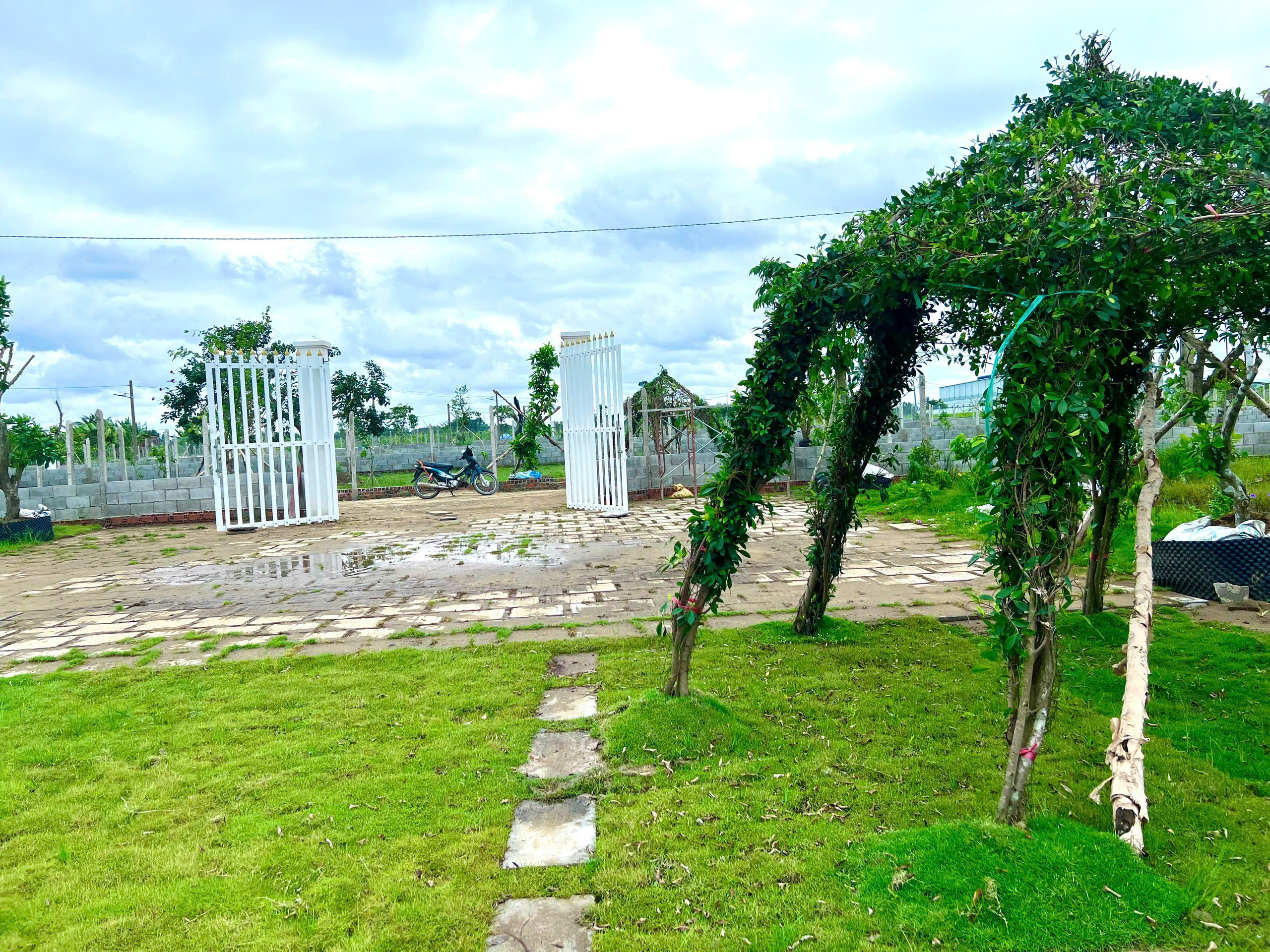 Chủ gộp nặng-Bán gấp lô đất nền 1000m2 mặt tiền đường Hùng Vương, Gò Dầu, Tây Ninh, SHR sẵn 100m2 thổ cư giá mỏng chỉ 1ty2