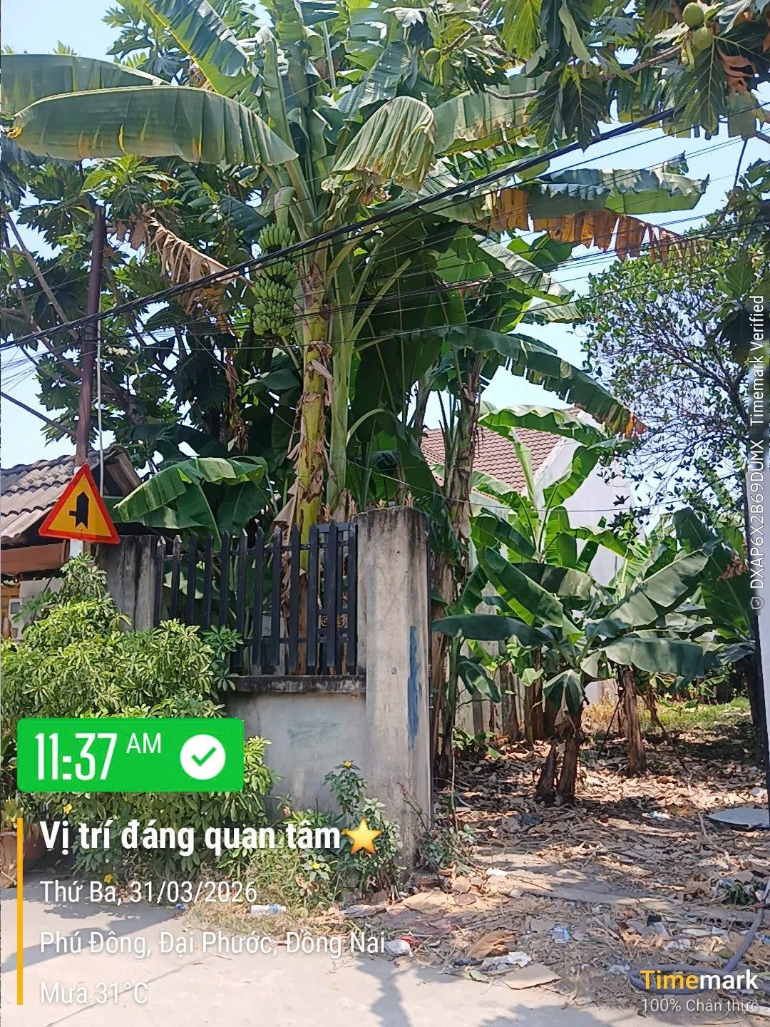 ĐẤT FULL THỔ CƯ – NGANG GẦN 5M – MẶT TIỀN 6M – CÁCH HÙNG VƯƠNG 30M – XÂY 4 TẦNG