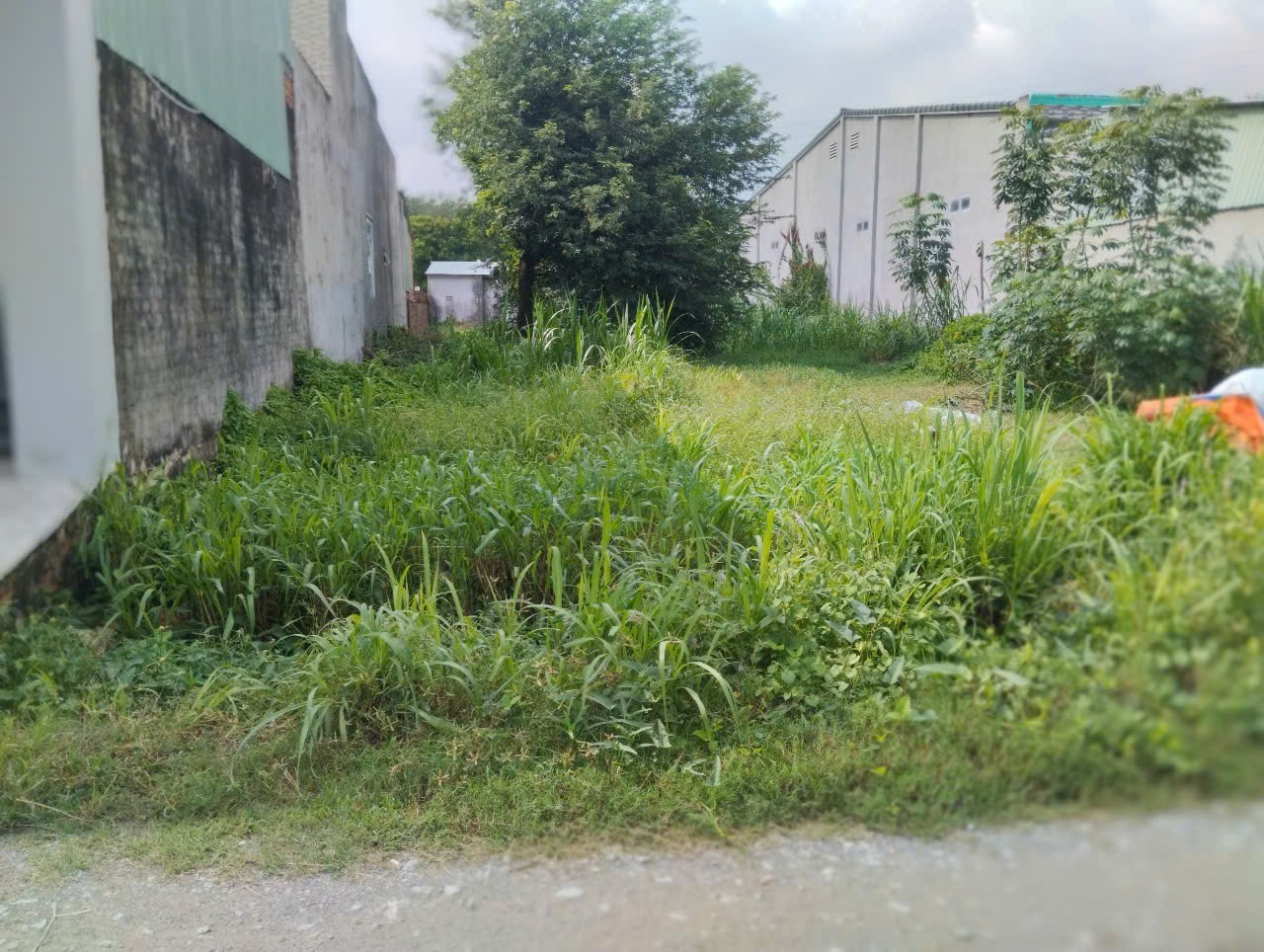 Bán Lô Đất An Tịnh, Mt đường lớn thông, 5x58m, SHr full Tc, 850tr