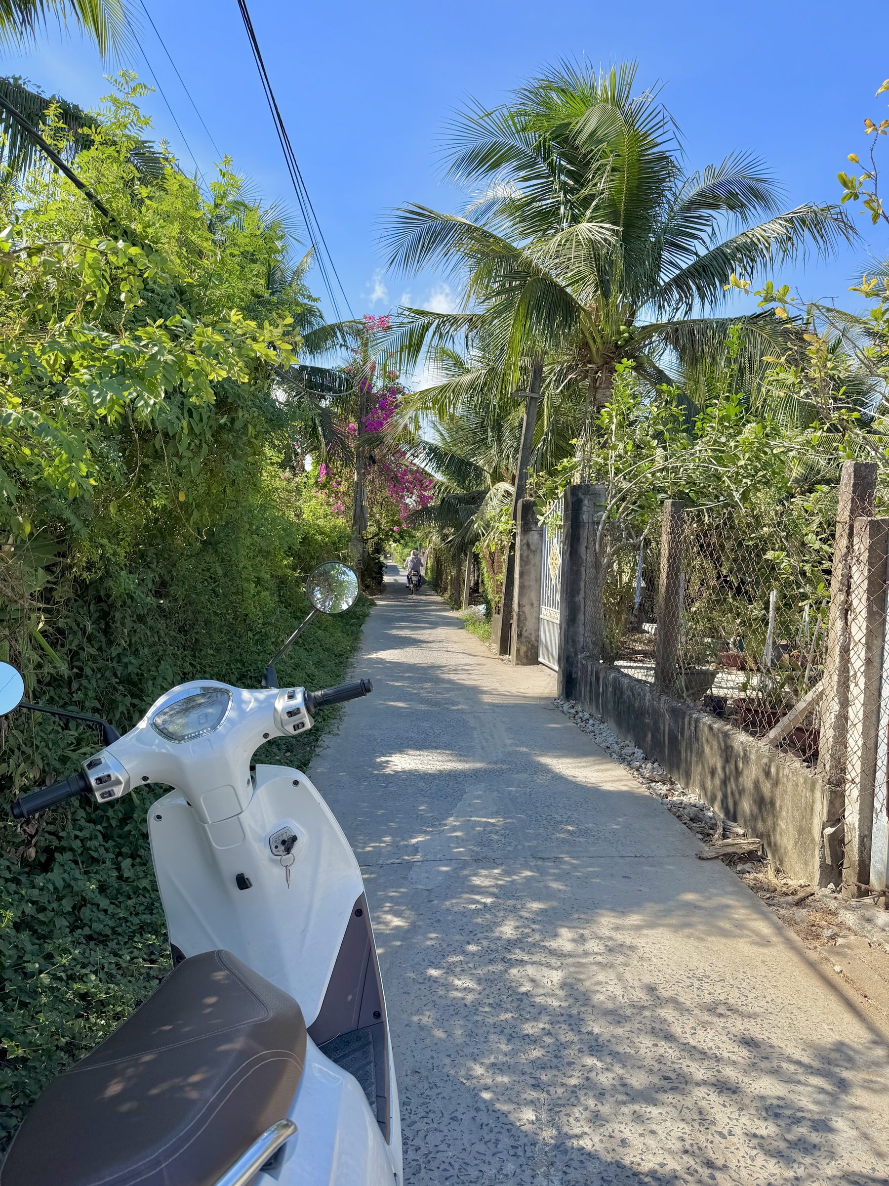 🏠 VÀI LÔ ĐẤT ĐẸP – GẦN CHỢ TÂN MỸ CHÁNH
