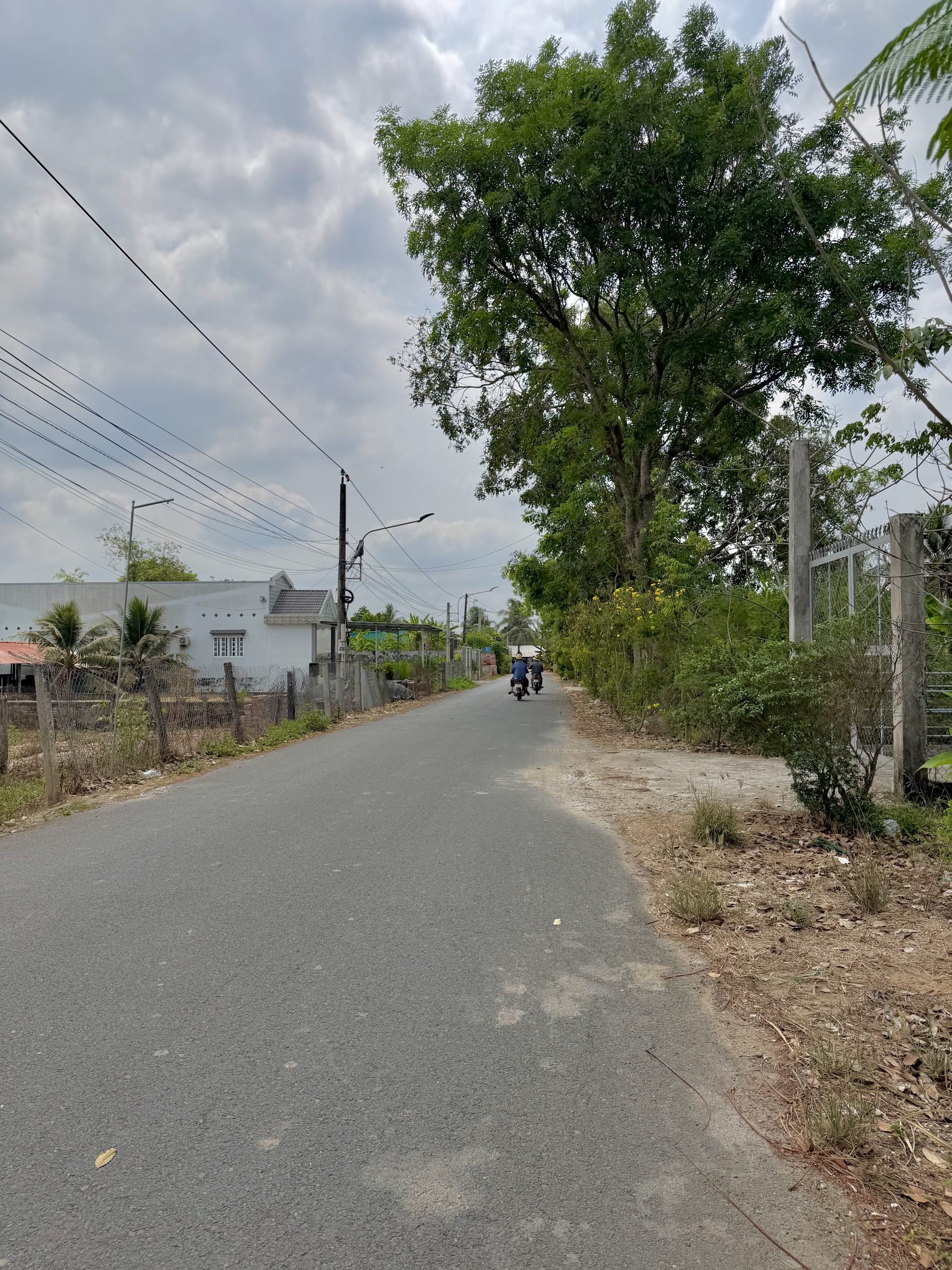 🏡 ĐẤT MẶT TIỀN NHỰA 90E – MỸ PHONG, VỊ TRÍ TIỀM NĂNG