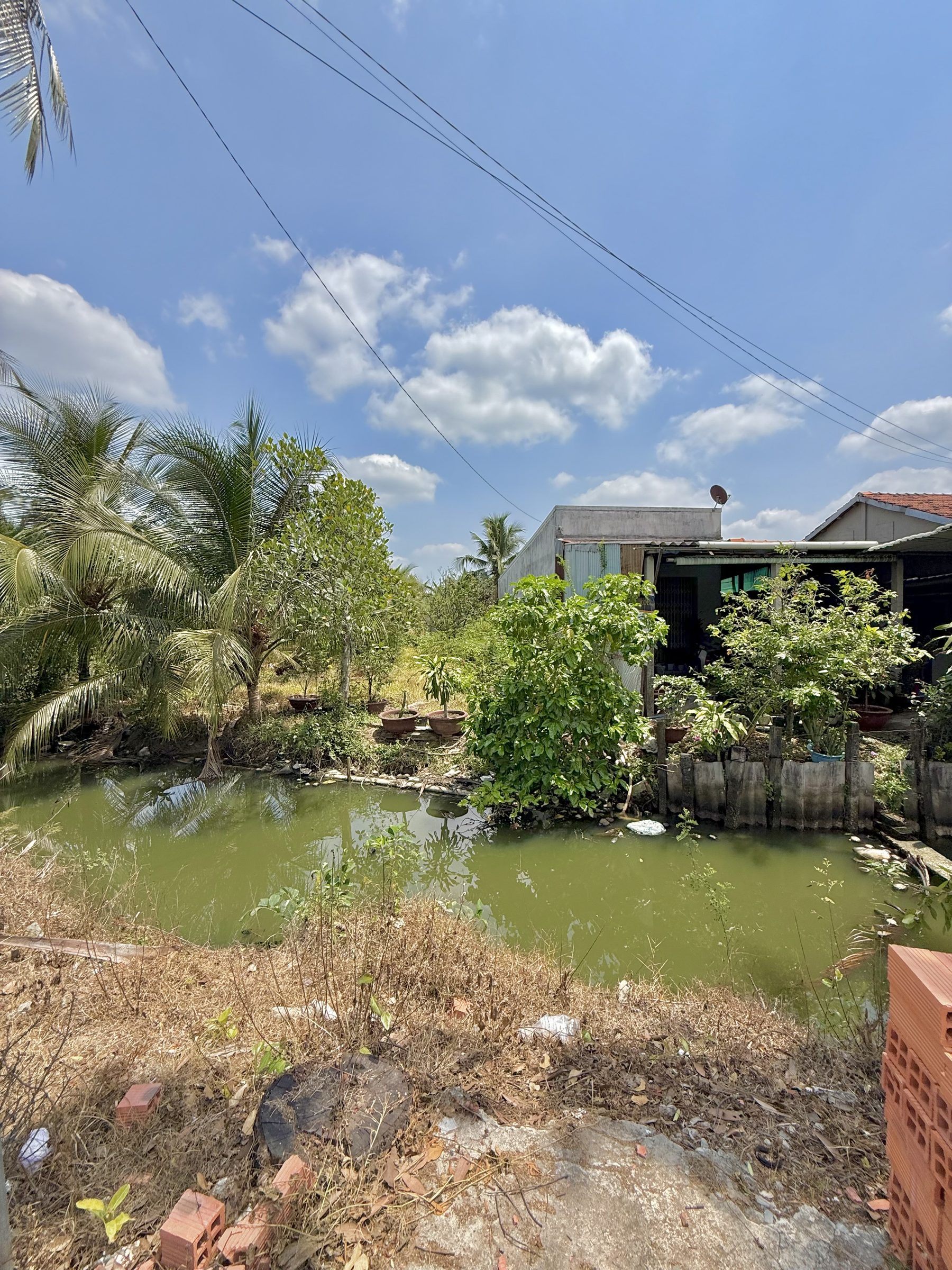 🌿🔥 2 NỀN MẶT TIỀN KÊNH – HL92A – GẦN QL50 🔥🌿