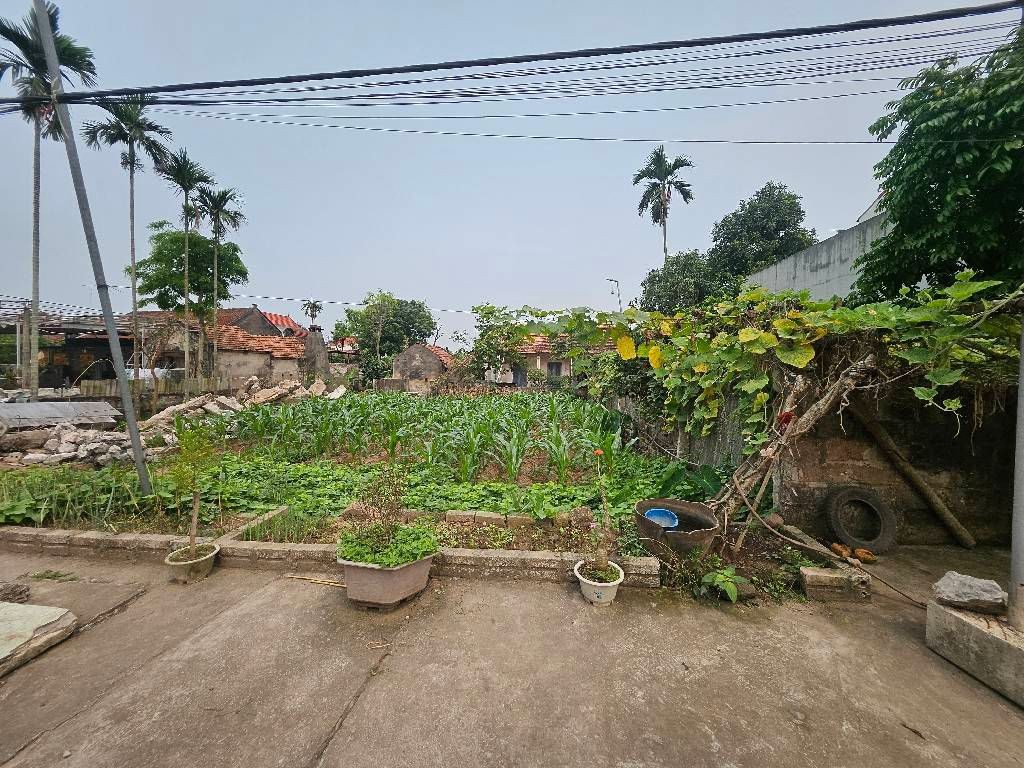 BÁN 80M2 FULL THỔ CƯ NGANG 4,4M PHÚ CƯỜNG ĐỨC HỢP KIM ĐỘNG GIÁ 1, 9TỶ