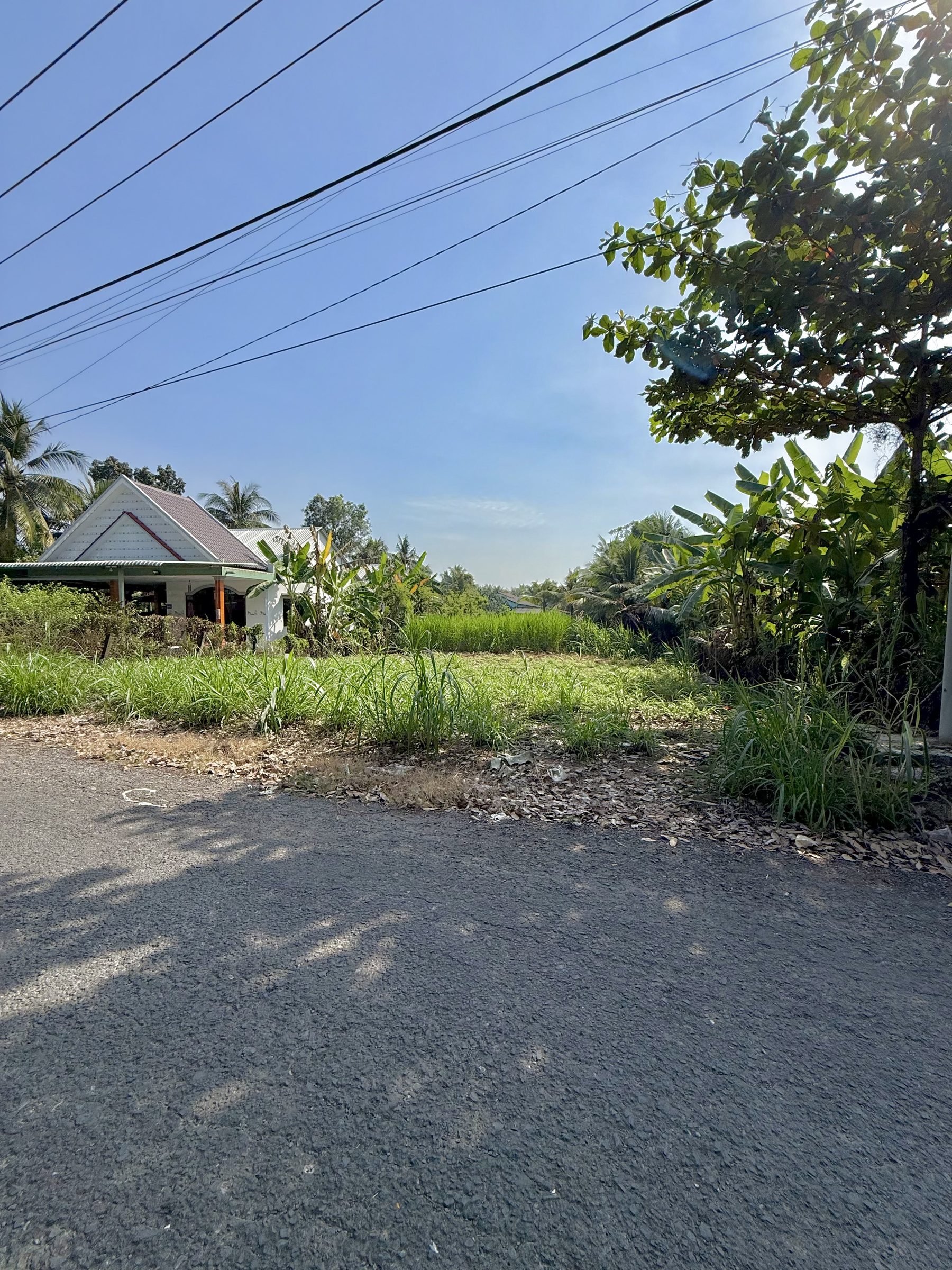 🌿 MẶT TIỀN HL91 – NGANG LỚN, NỞ HẬU ĐẸP
