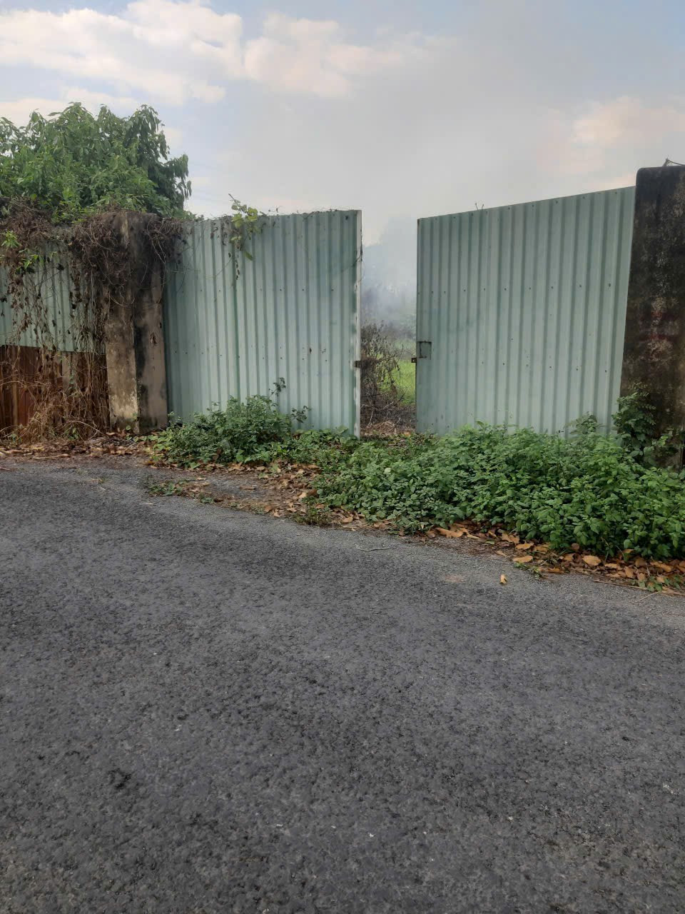 Bán 3440m2 (52x70) đất vườn, MT Kênh 9, Tân Nhựt, Bình Chánh, giá 6tr/m2