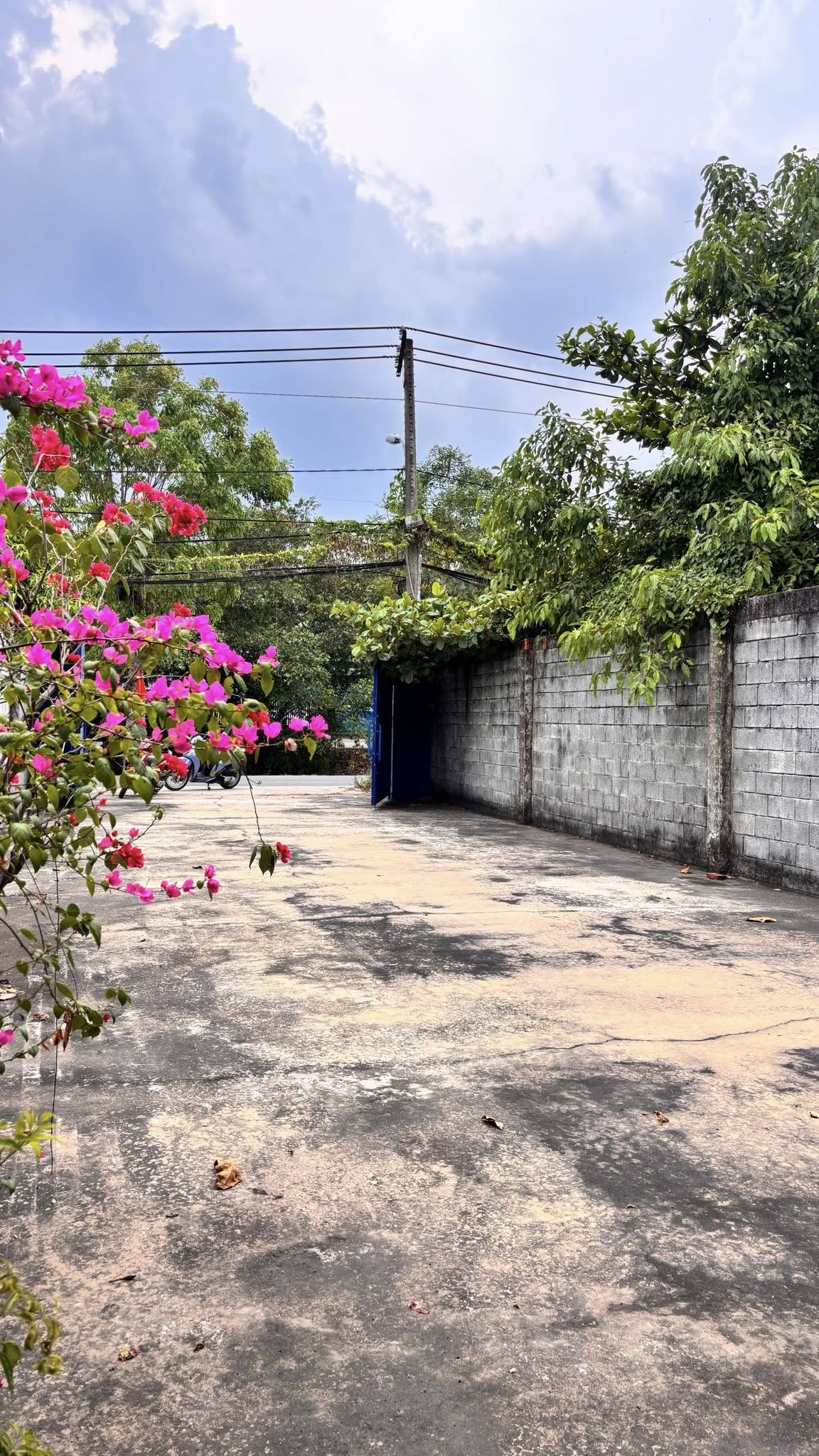 bán kho xưởng sổ hồng 2 mặt tiền đường kênh a giao trần văn giàu đang có sẵn hợp đồng thuê