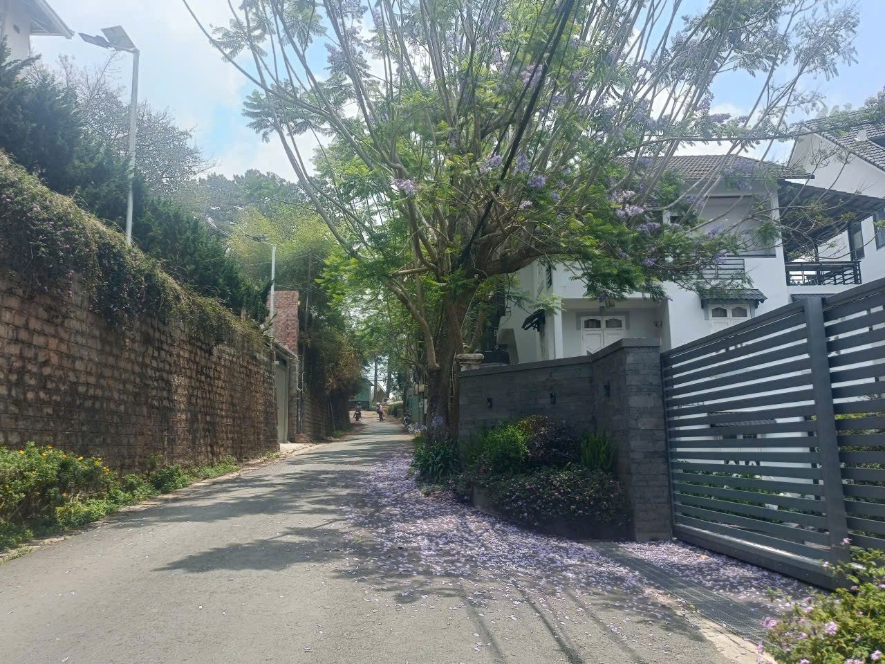 11,5 Tỷ Bán ĐẤT THỔ CƯ ĐƯỜNG KHE SANH, PHƯỜNG 10, TP. ĐÀ LẠT