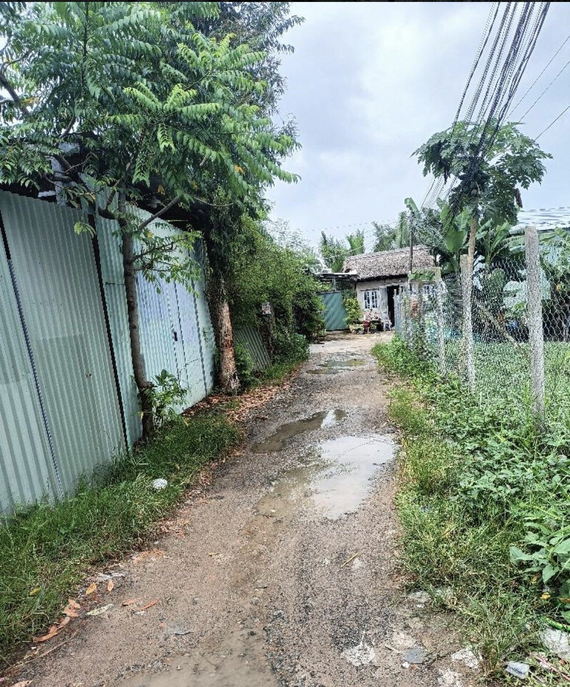 Bán Đất 117m2 có sẵn 68.1 m2 thổ cư giá 3 tỷ tại Đường Lã Xuân Oai Phường Long Trường Quận 9 TP. Hồ Chí Minh